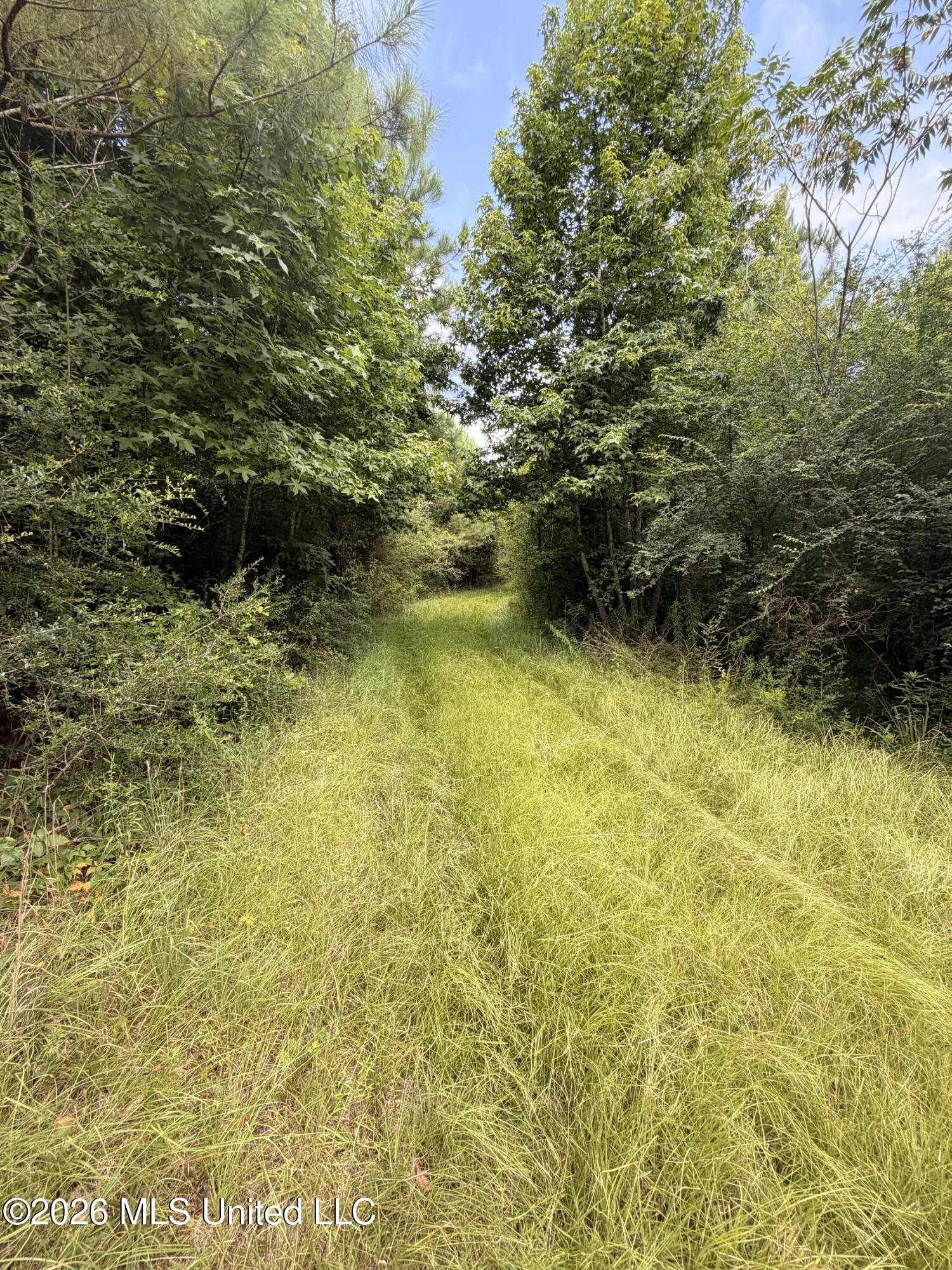 0 Beartown Road Property Photo 6