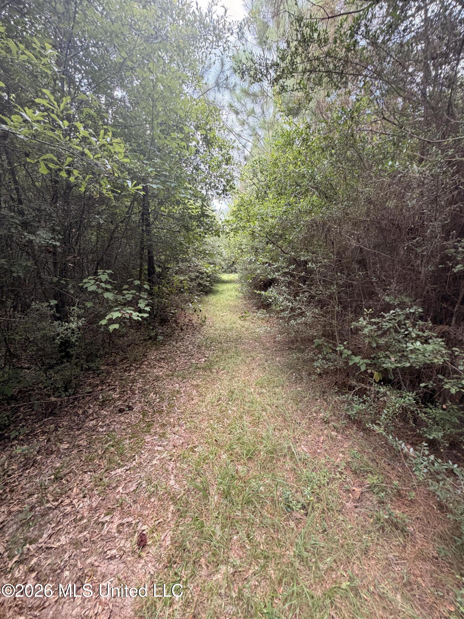0 Beartown Road Property Photo 7