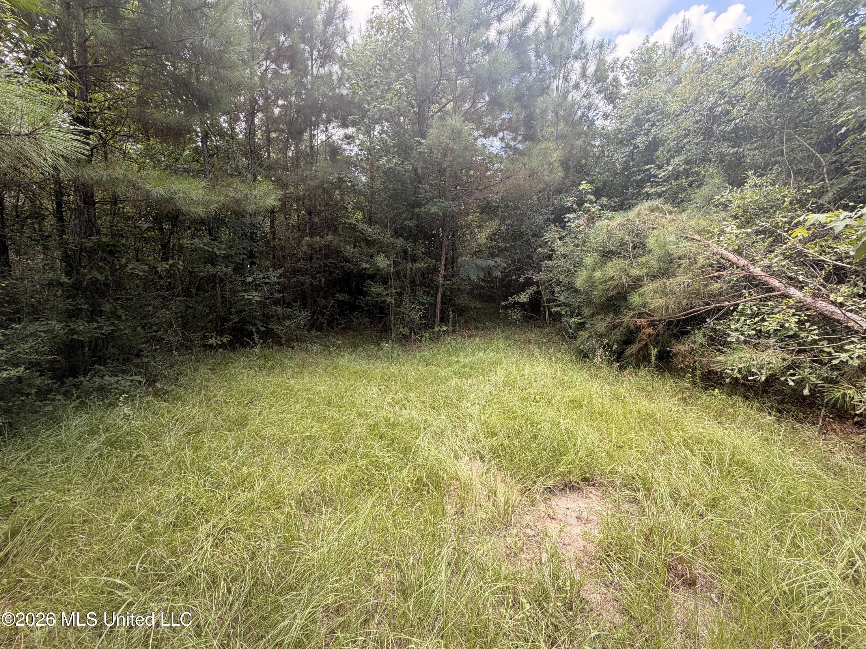 0 Beartown Road Property Photo 8