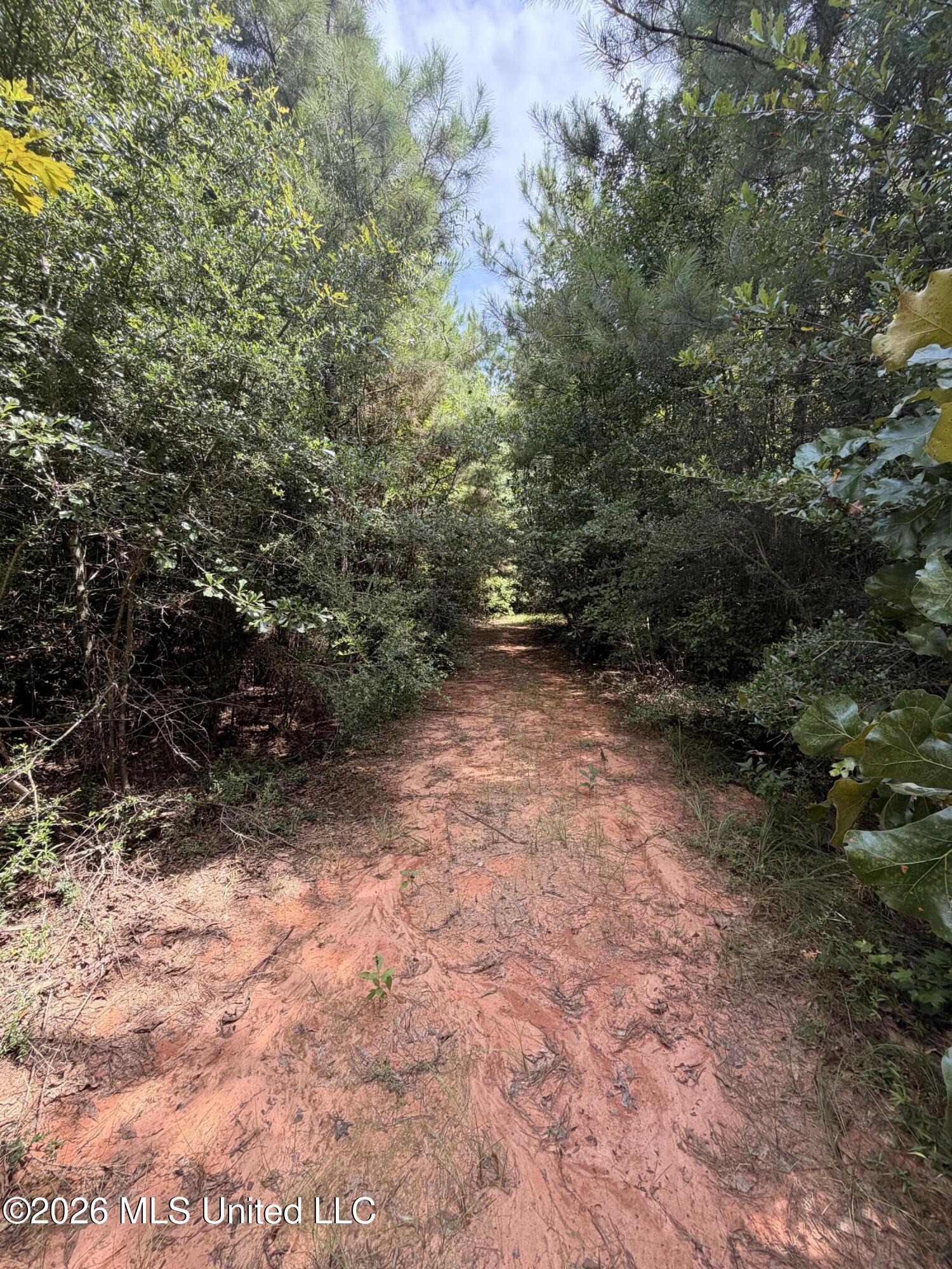 0 Beartown Road Property Photo 10