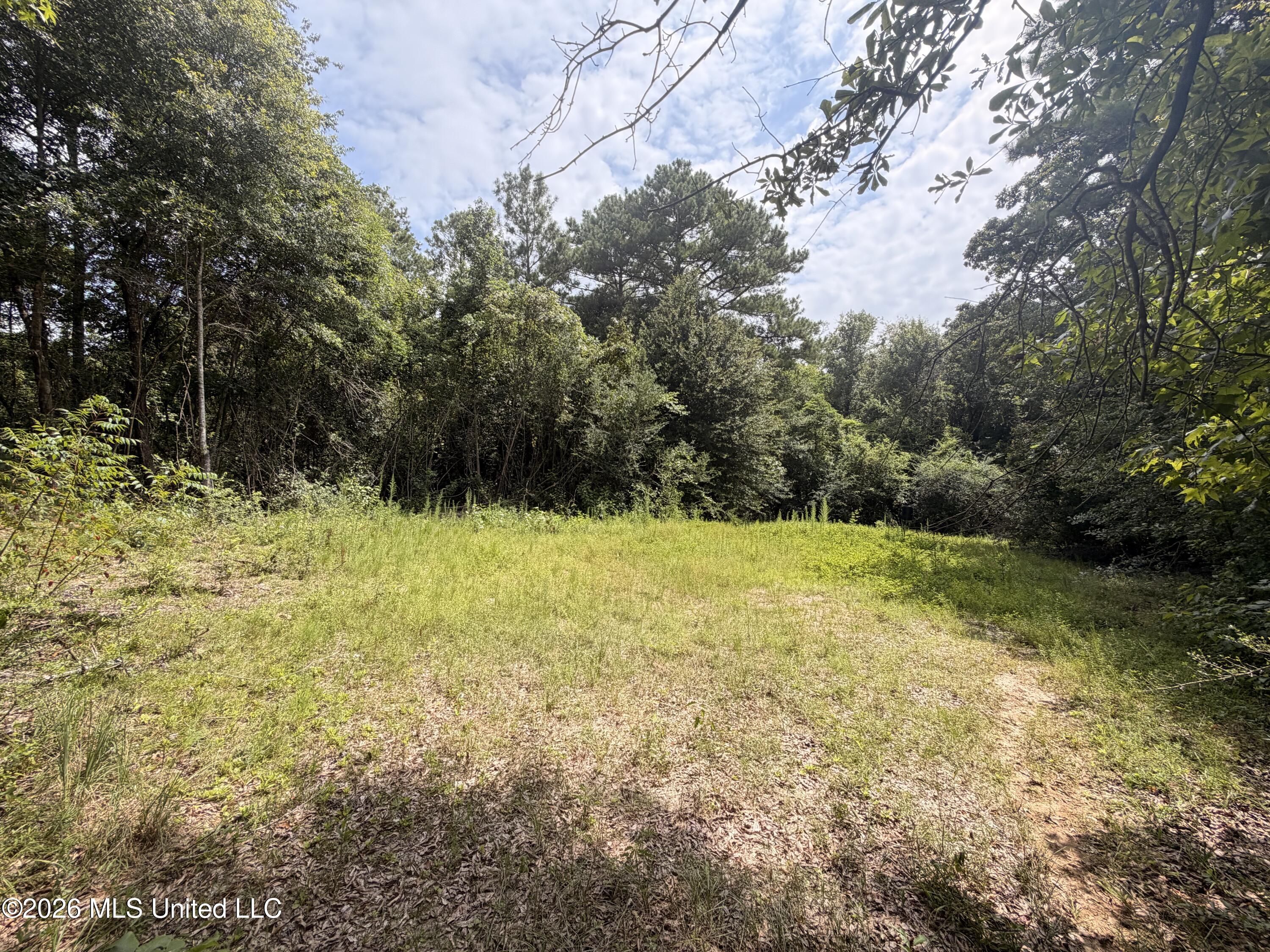 0 Beartown Road Property Photo 11