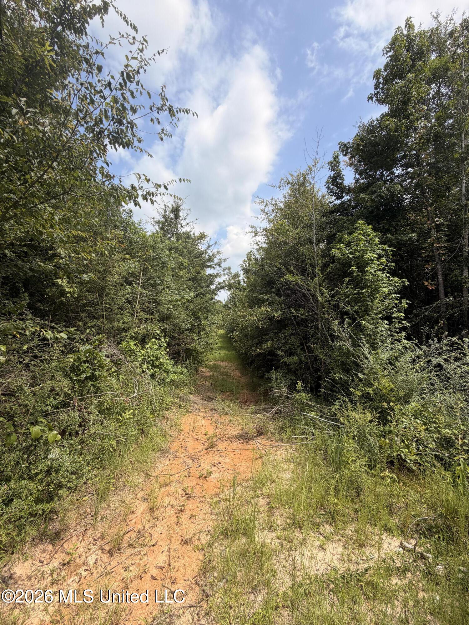 0 Beartown Road Property Photo 12
