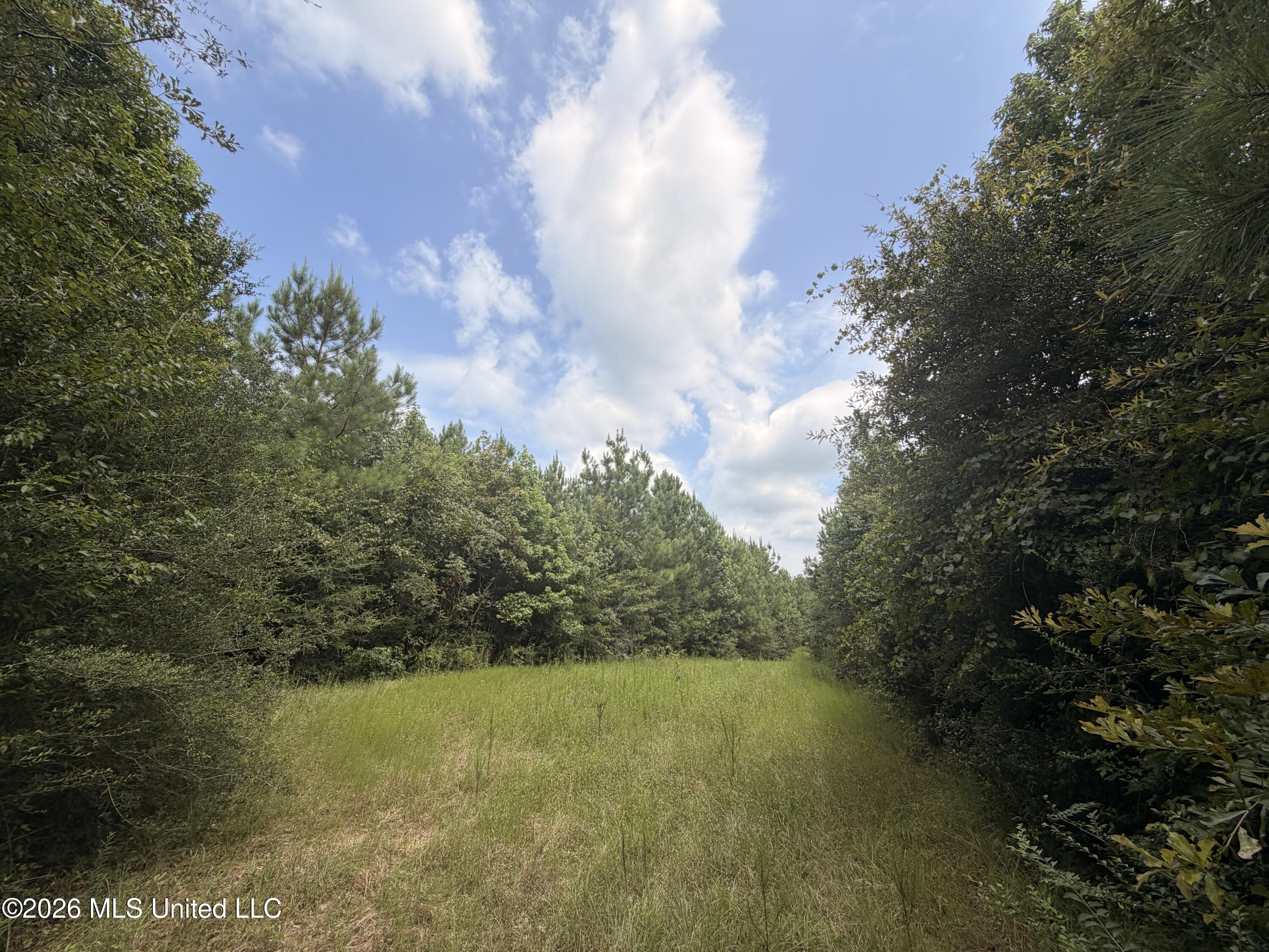 0 Beartown Road Property Photo 13