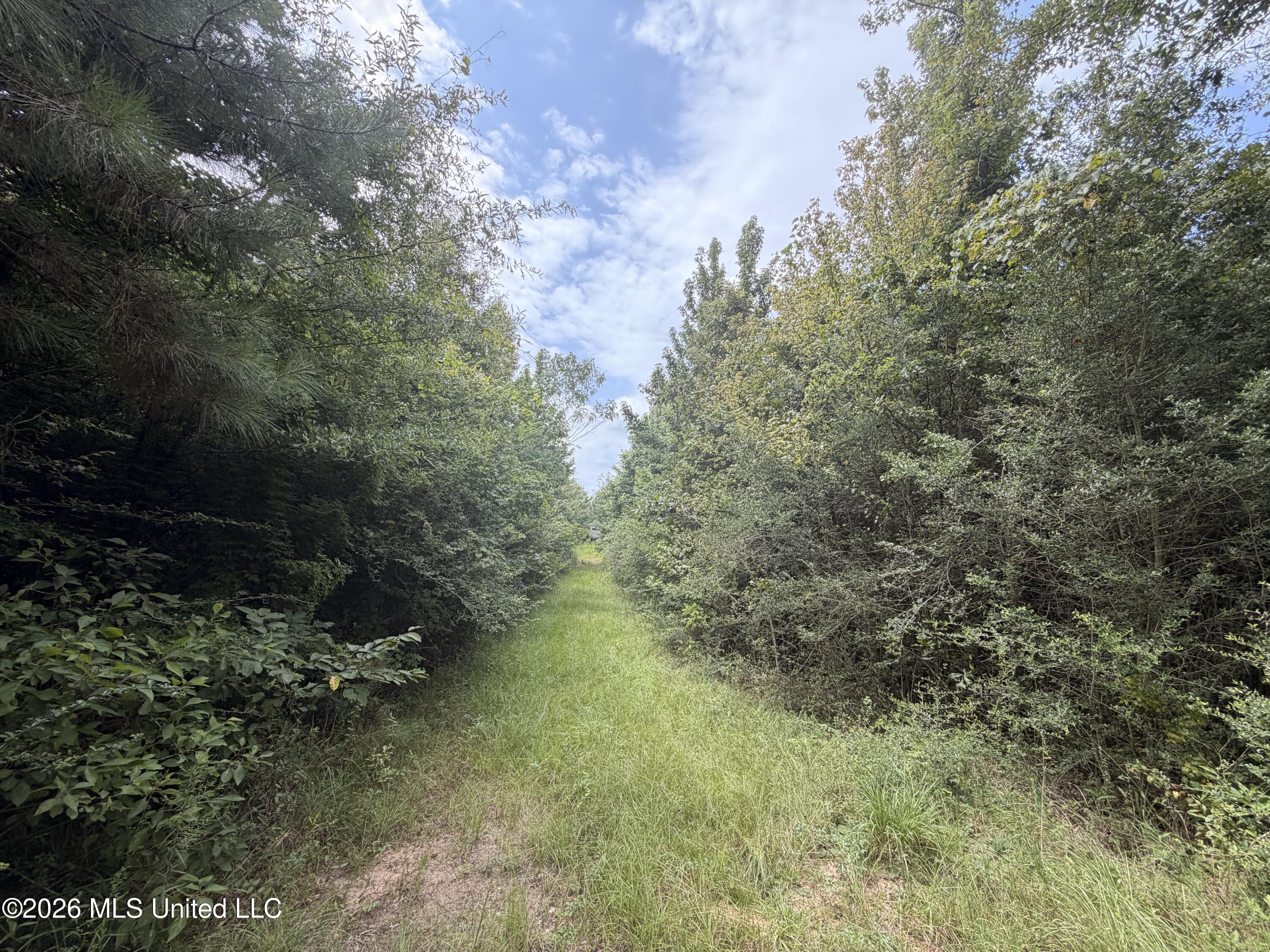0 Beartown Road Property Photo 14