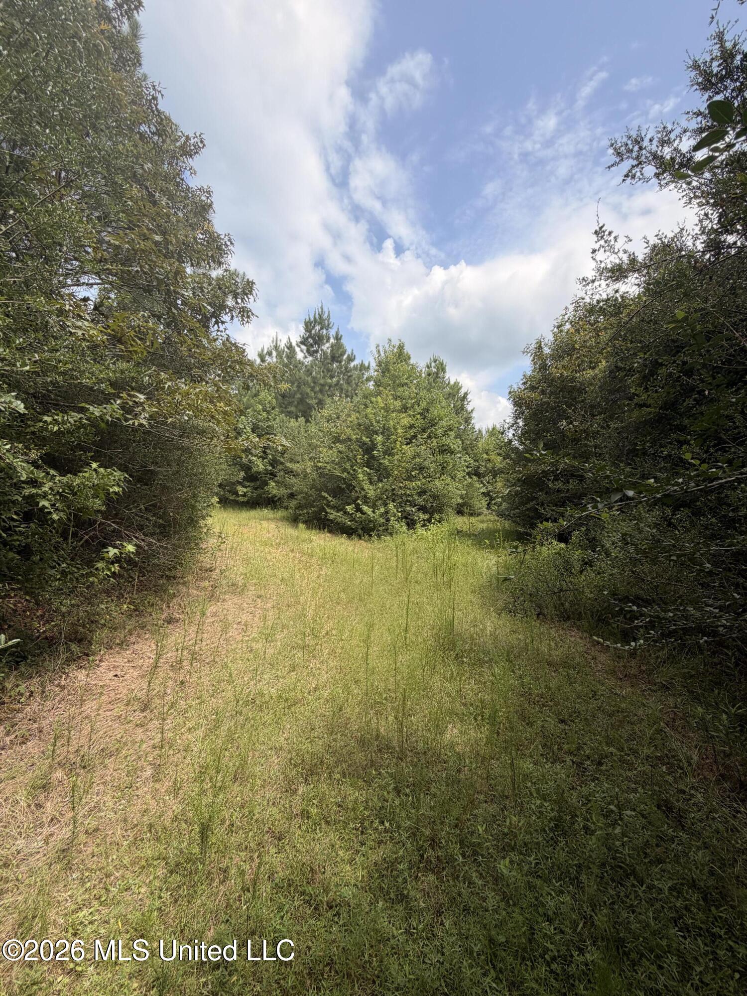0 Beartown Road Property Photo 15