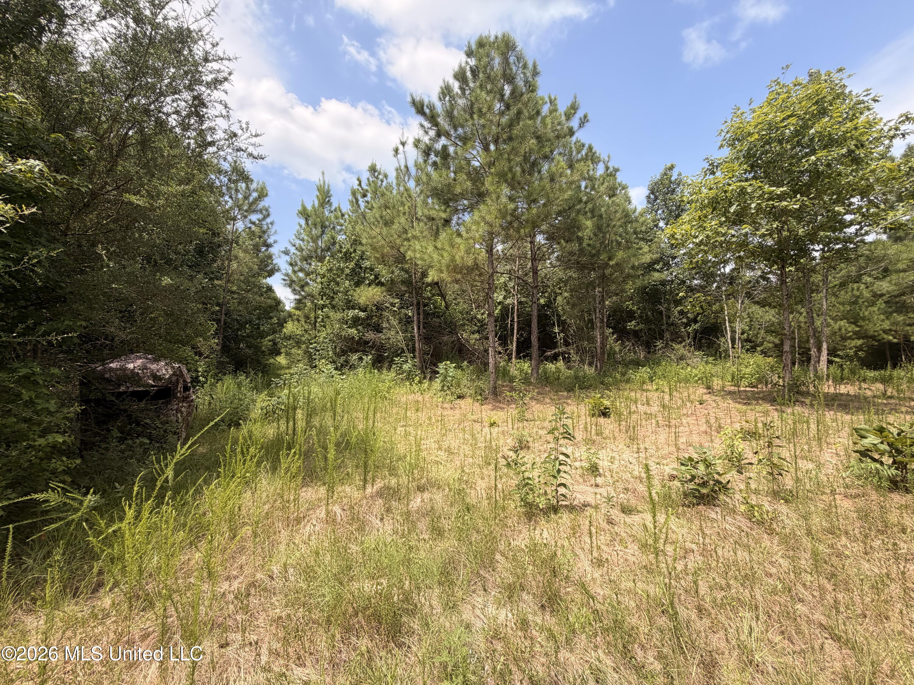 0 Beartown Road Property Photo 16