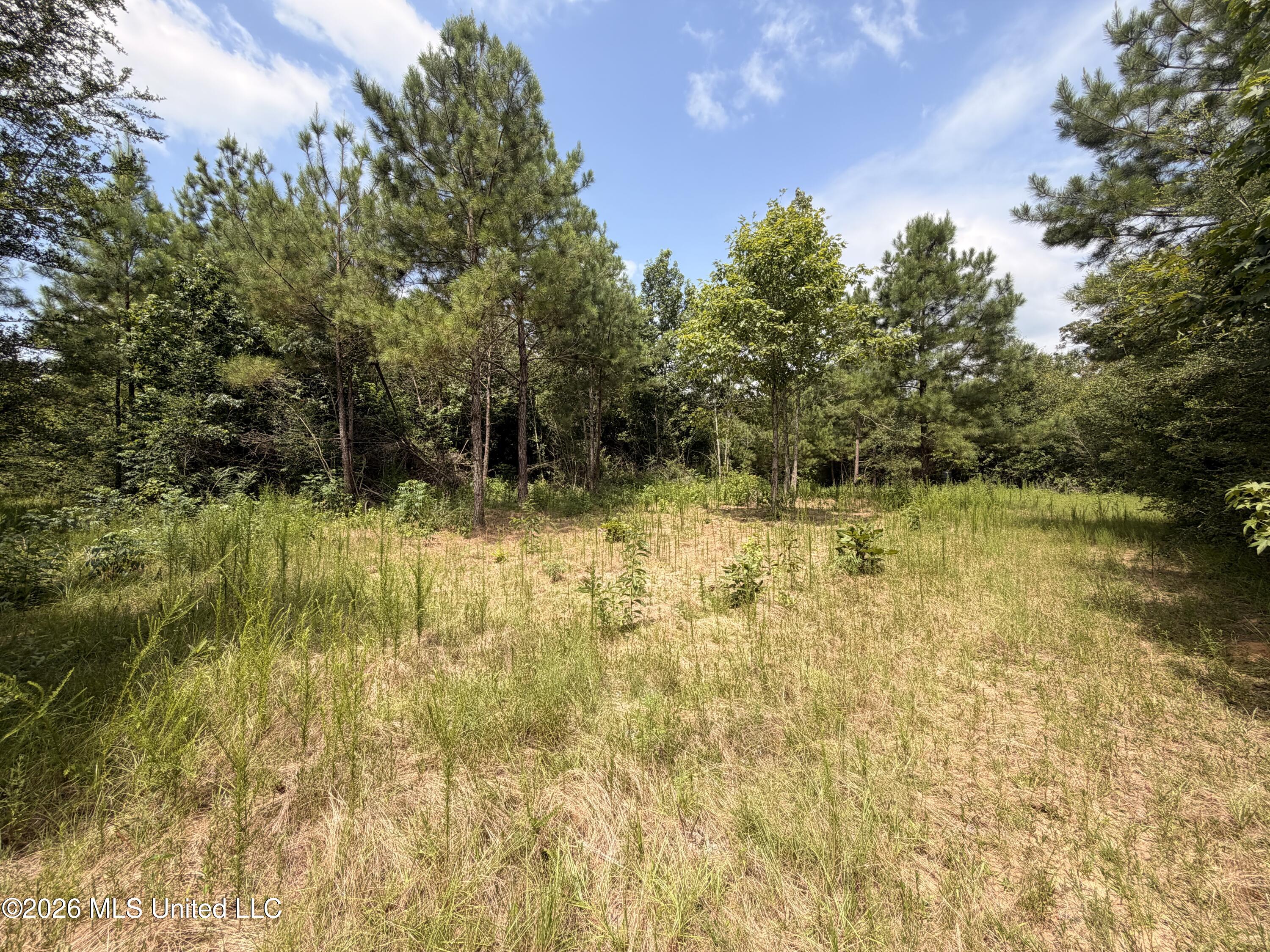 0 Beartown Road Property Photo 17