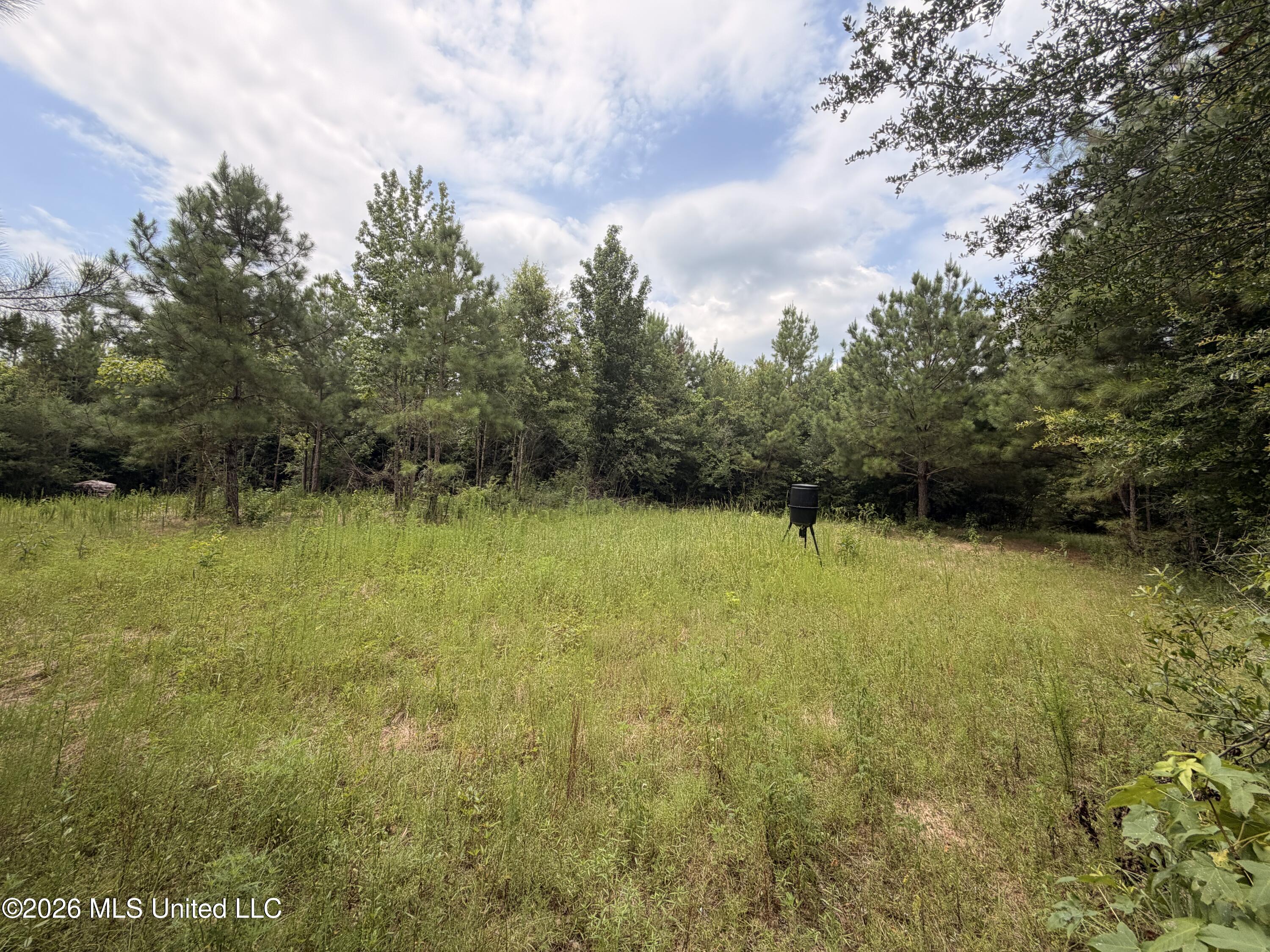 0 Beartown Road Property Photo 18