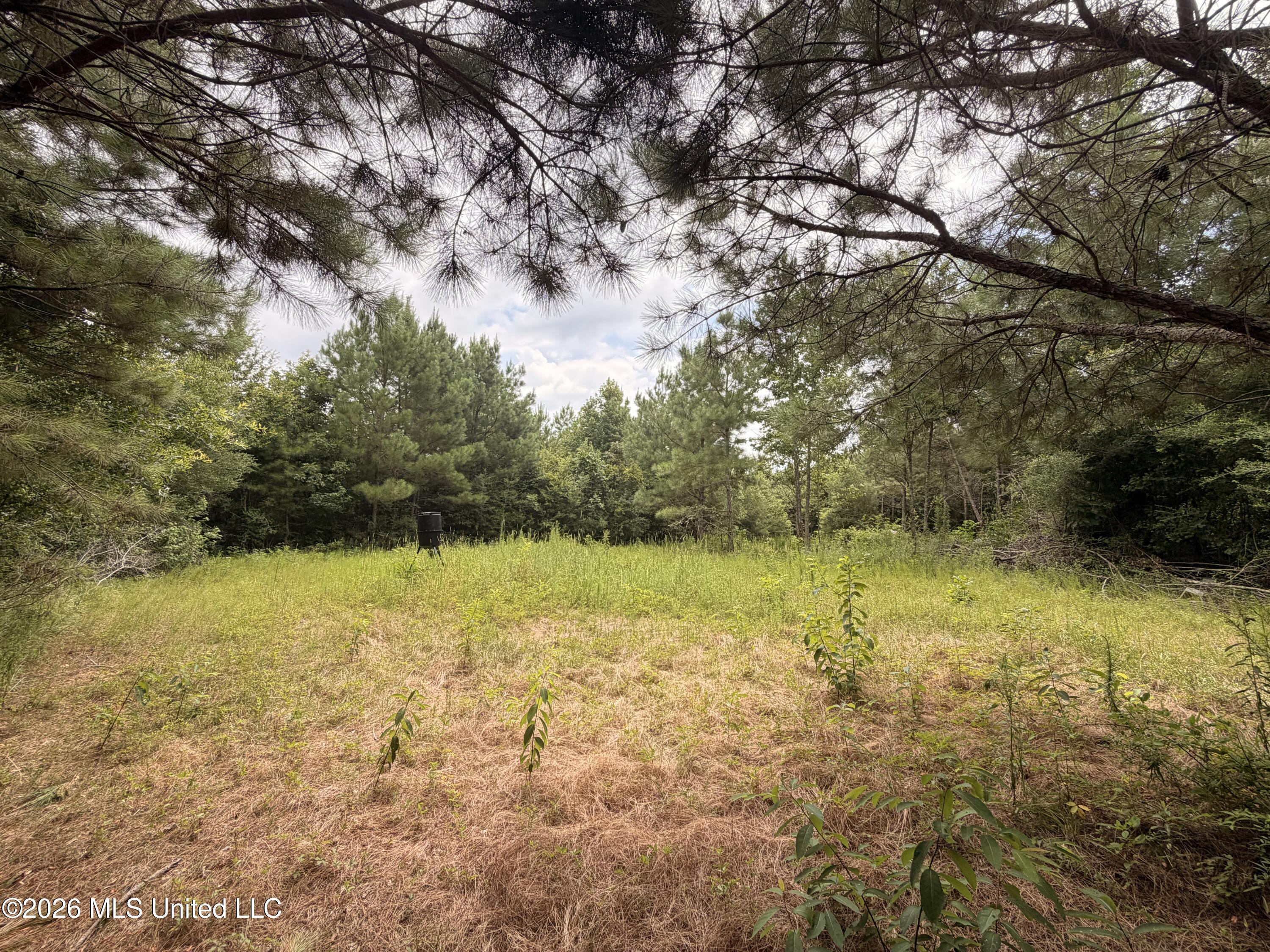 0 Beartown Road Property Photo 19