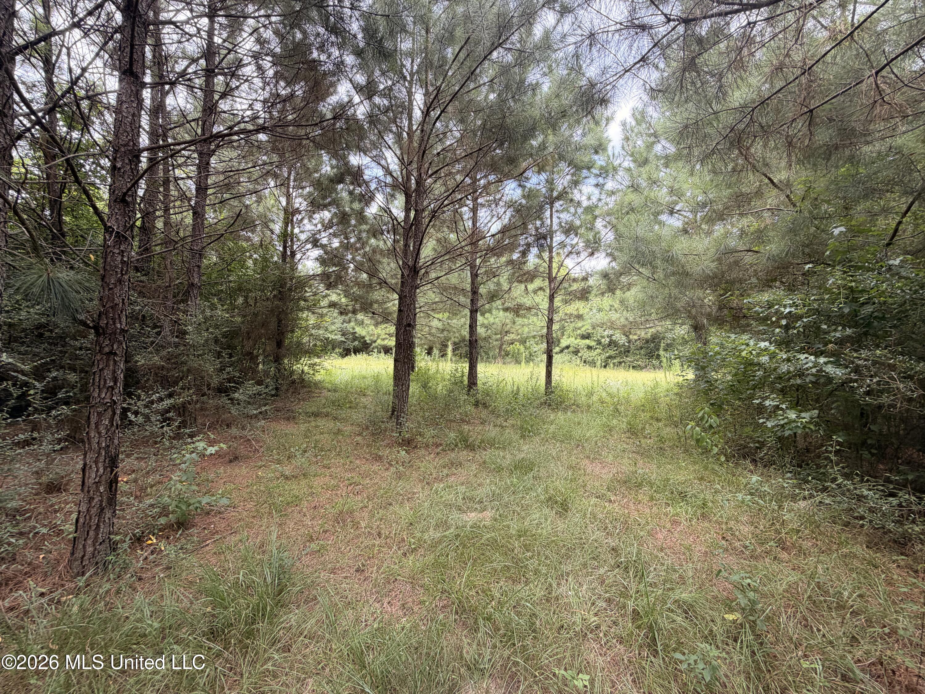 0 Beartown Road Property Photo 20