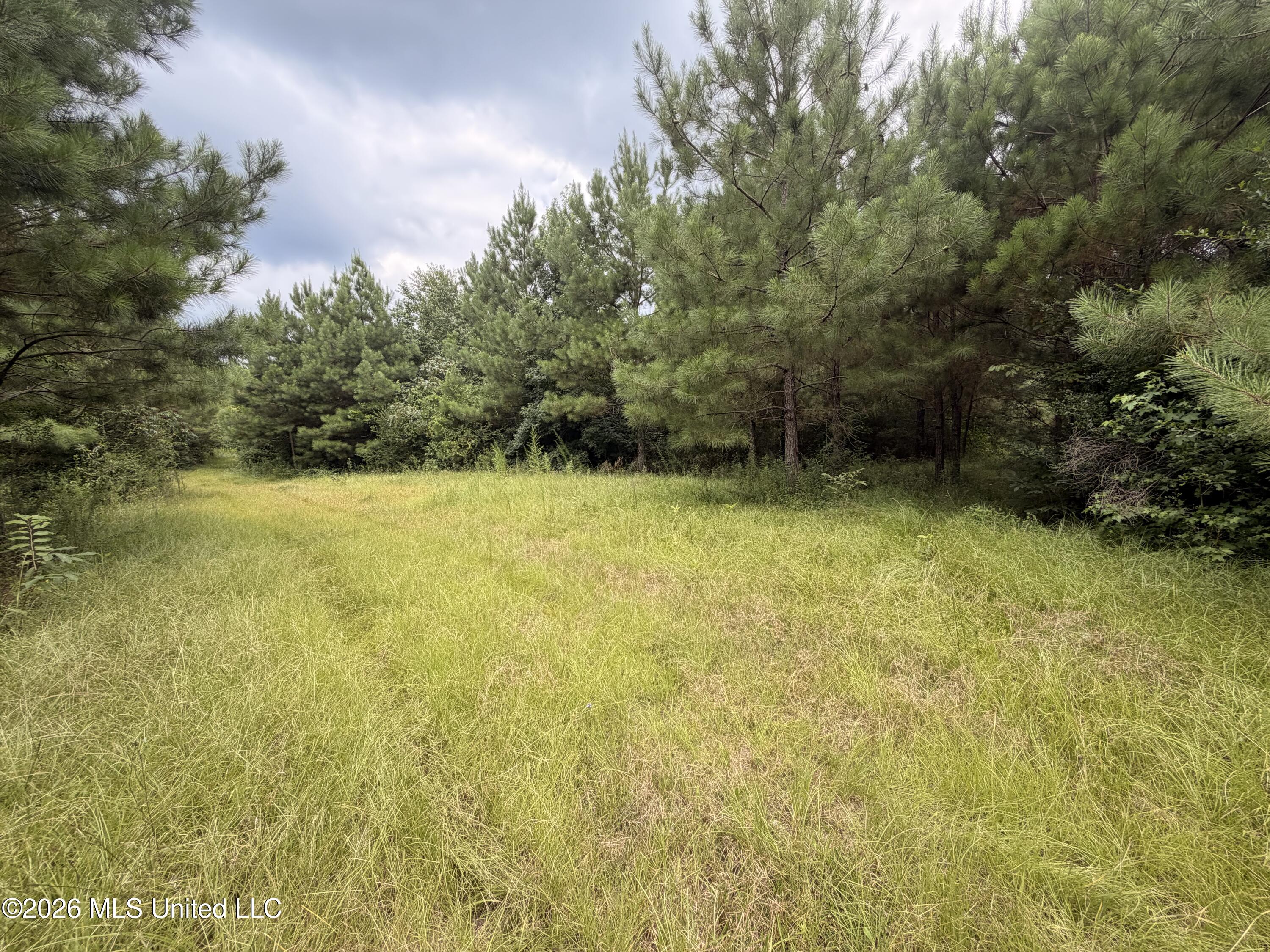 0 Beartown Road Property Photo 21