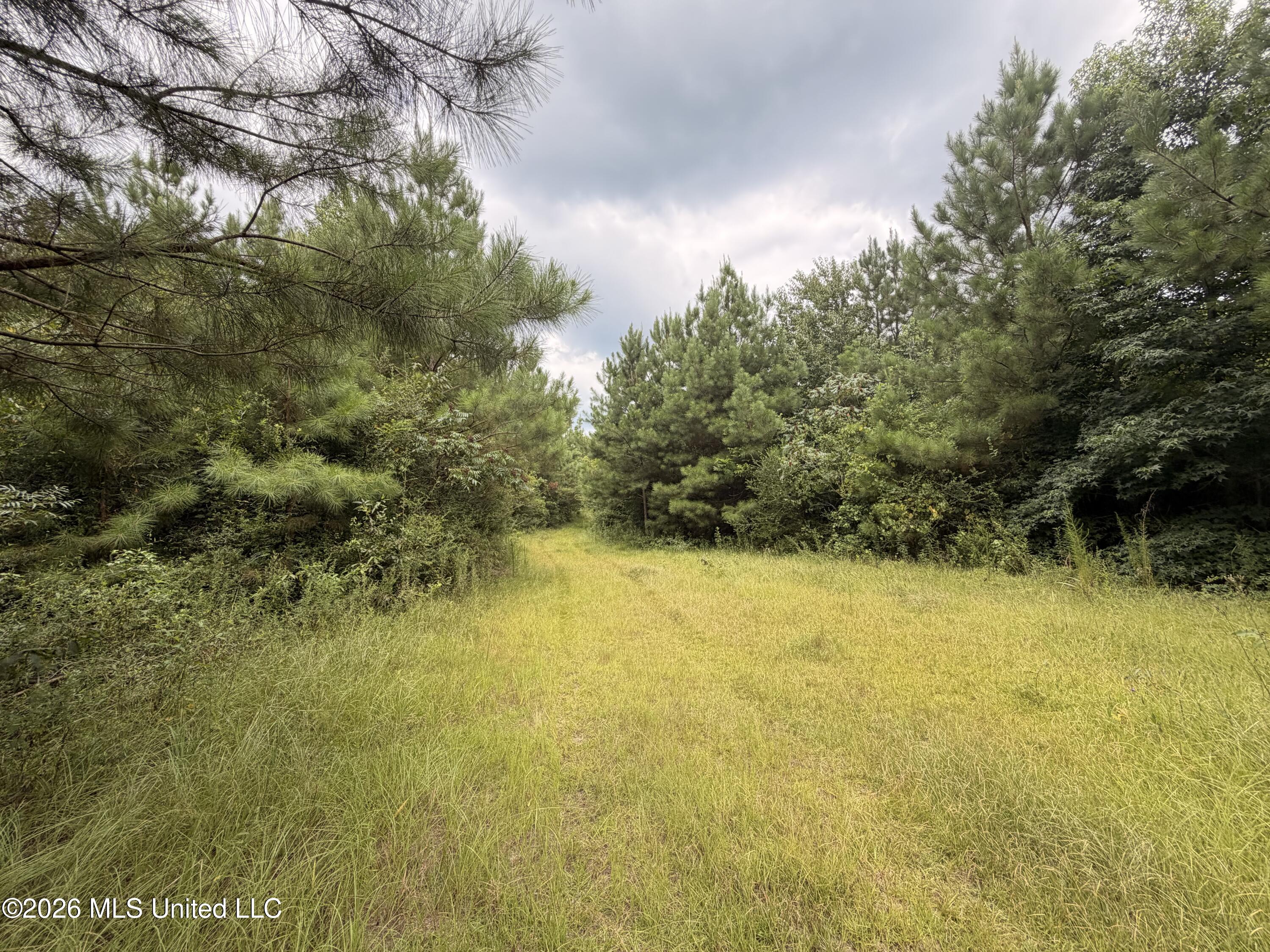 0 Beartown Road Property Photo 23