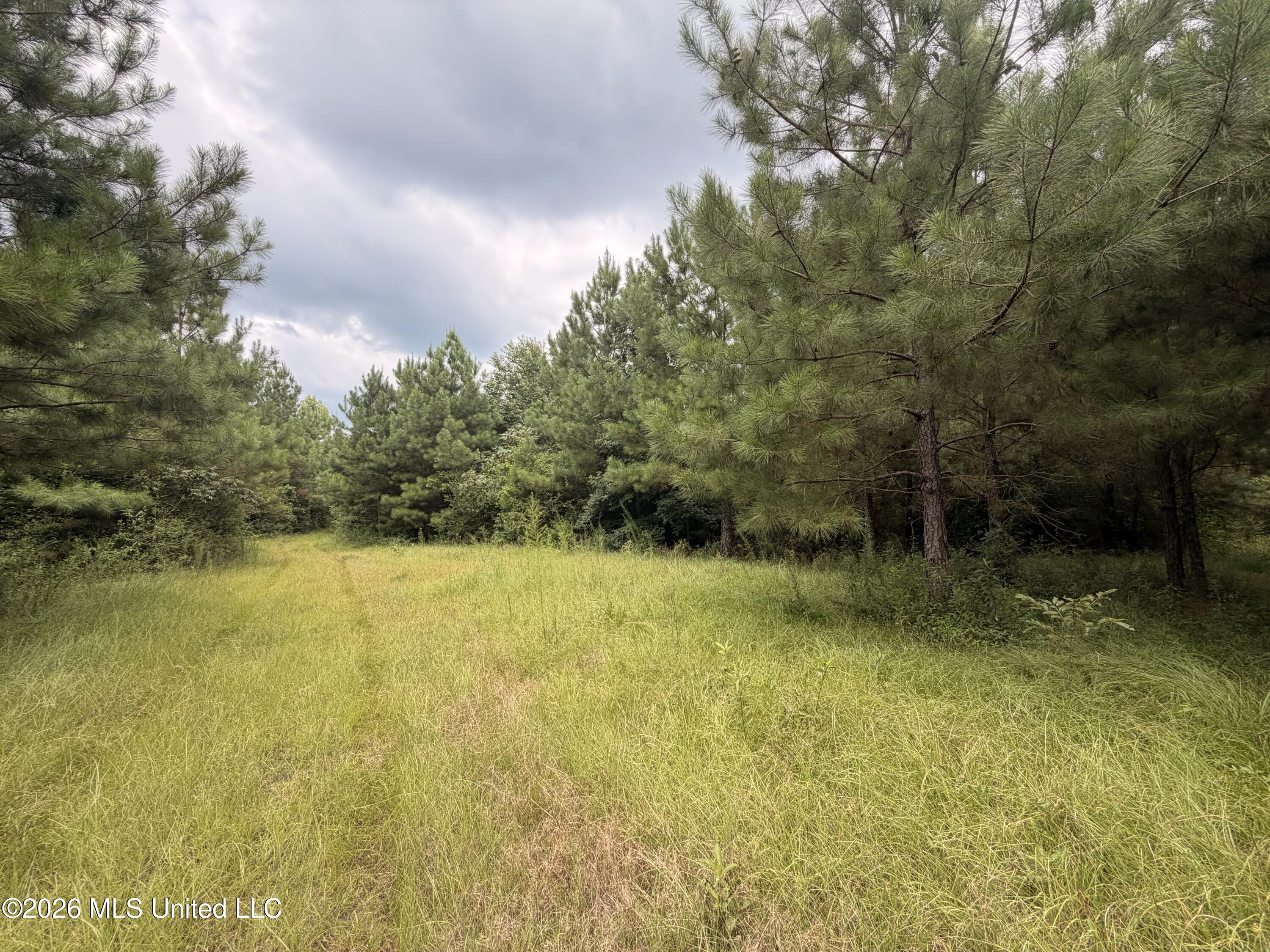 0 Beartown Road Property Photo 24