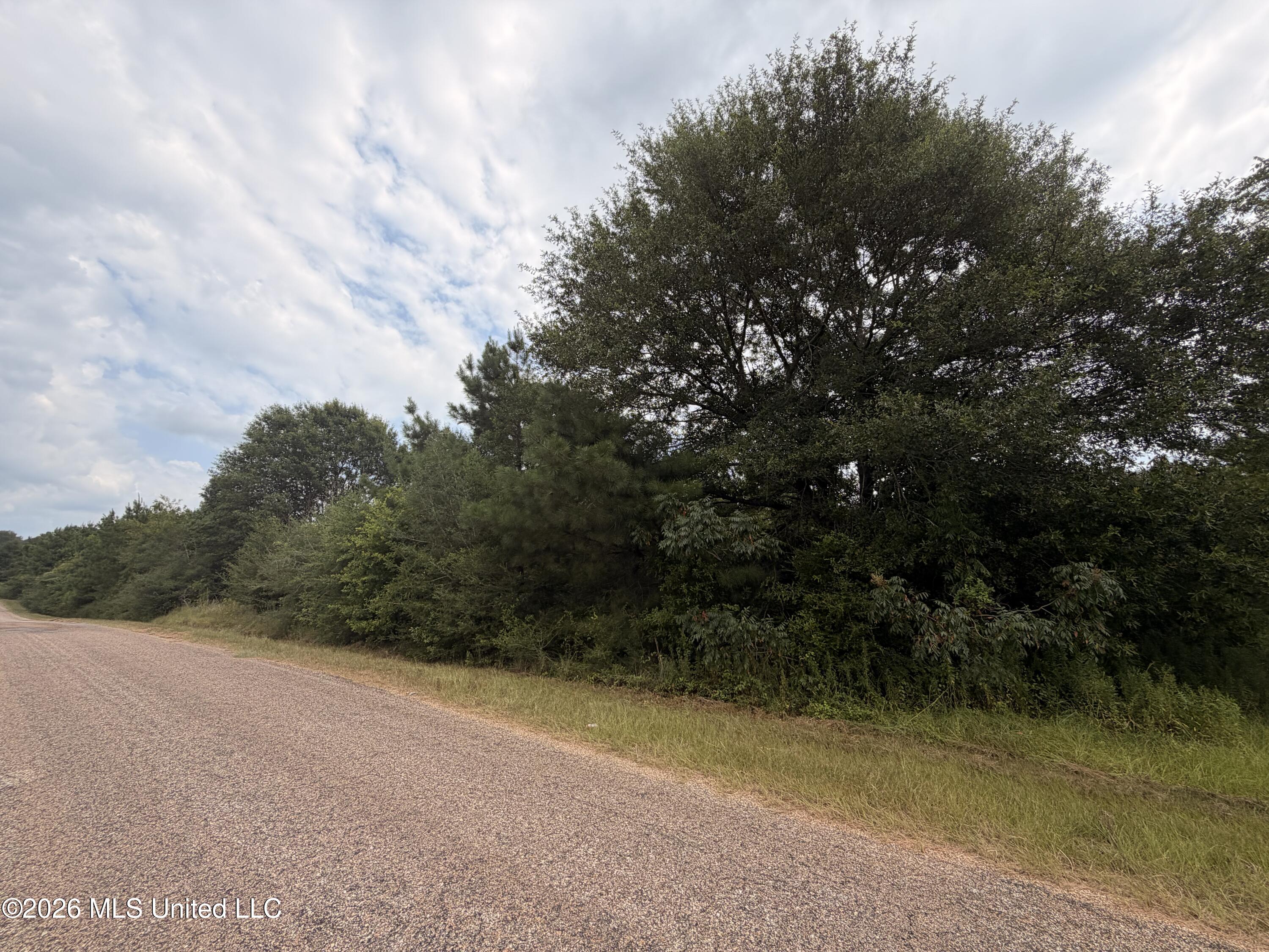 0 Beartown Road Property Photo 25