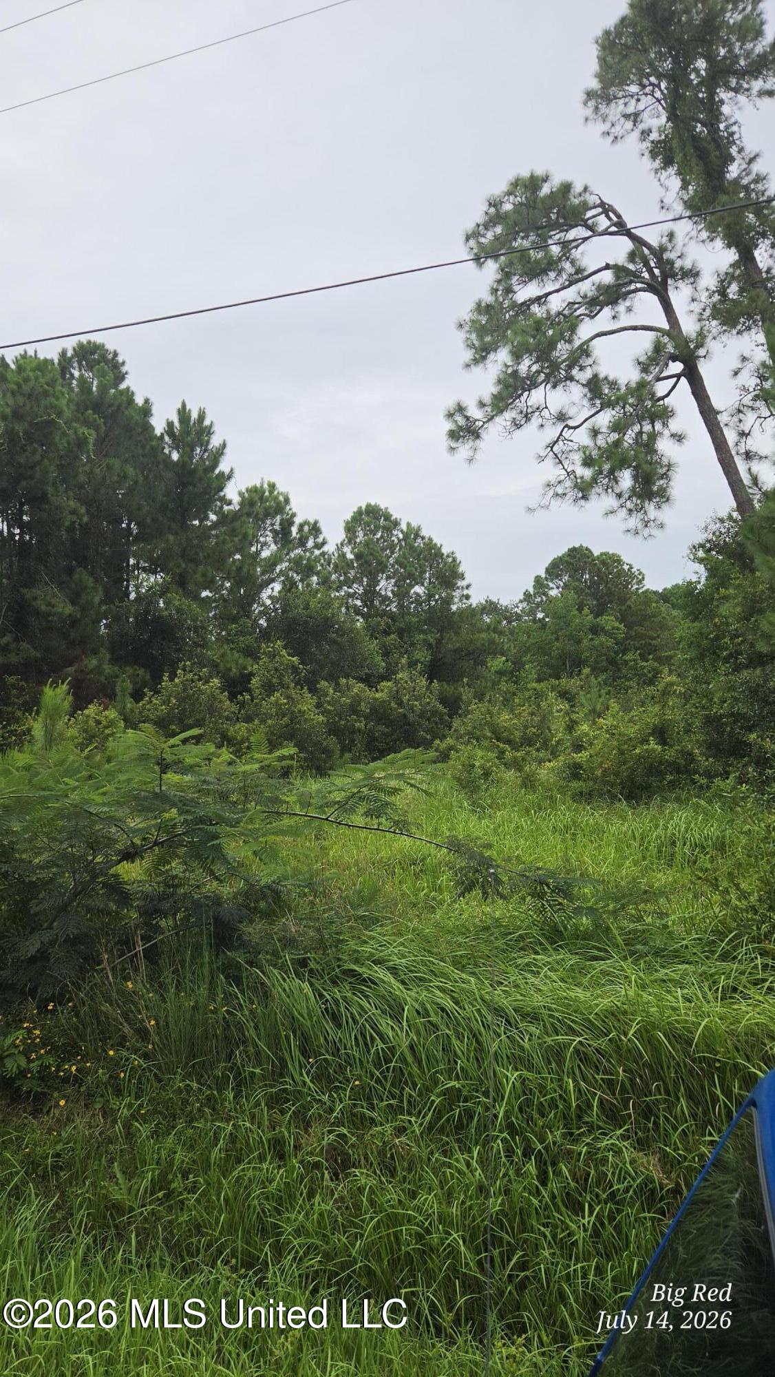 208 Mcclung Street Property Photo 4