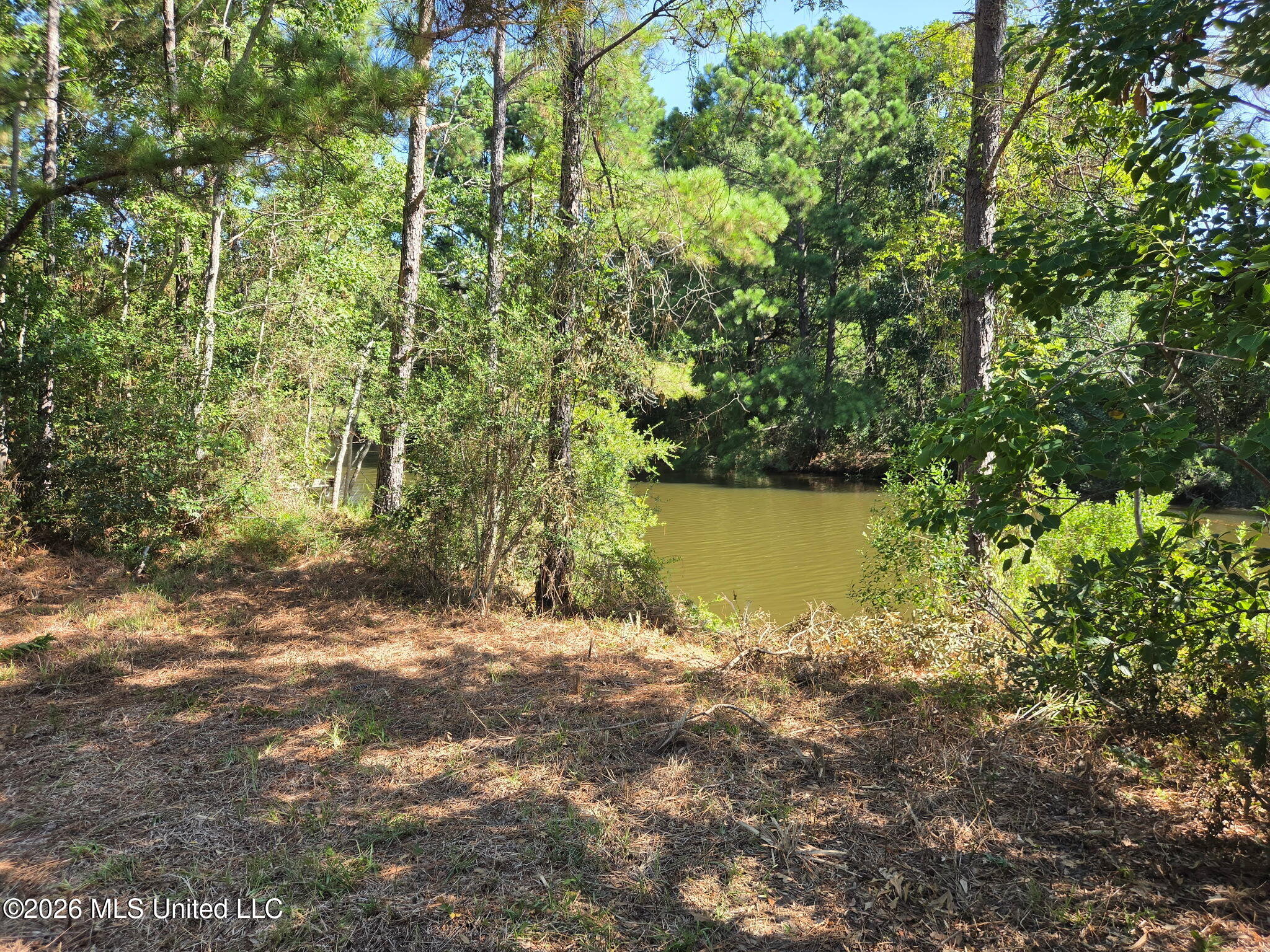 208 Mcclung Street Property Photo 5