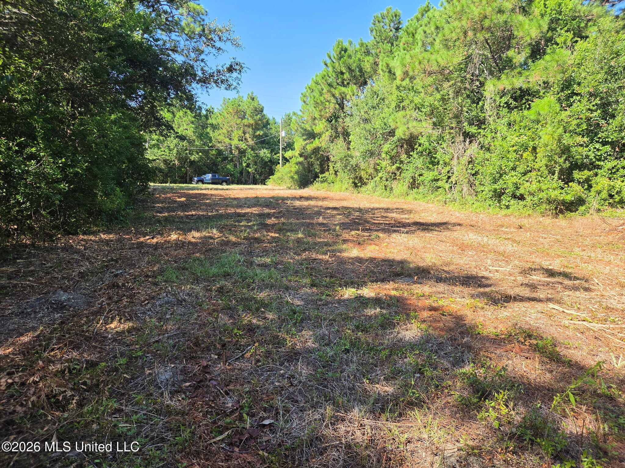 208 Mcclung Street Property Photo 6