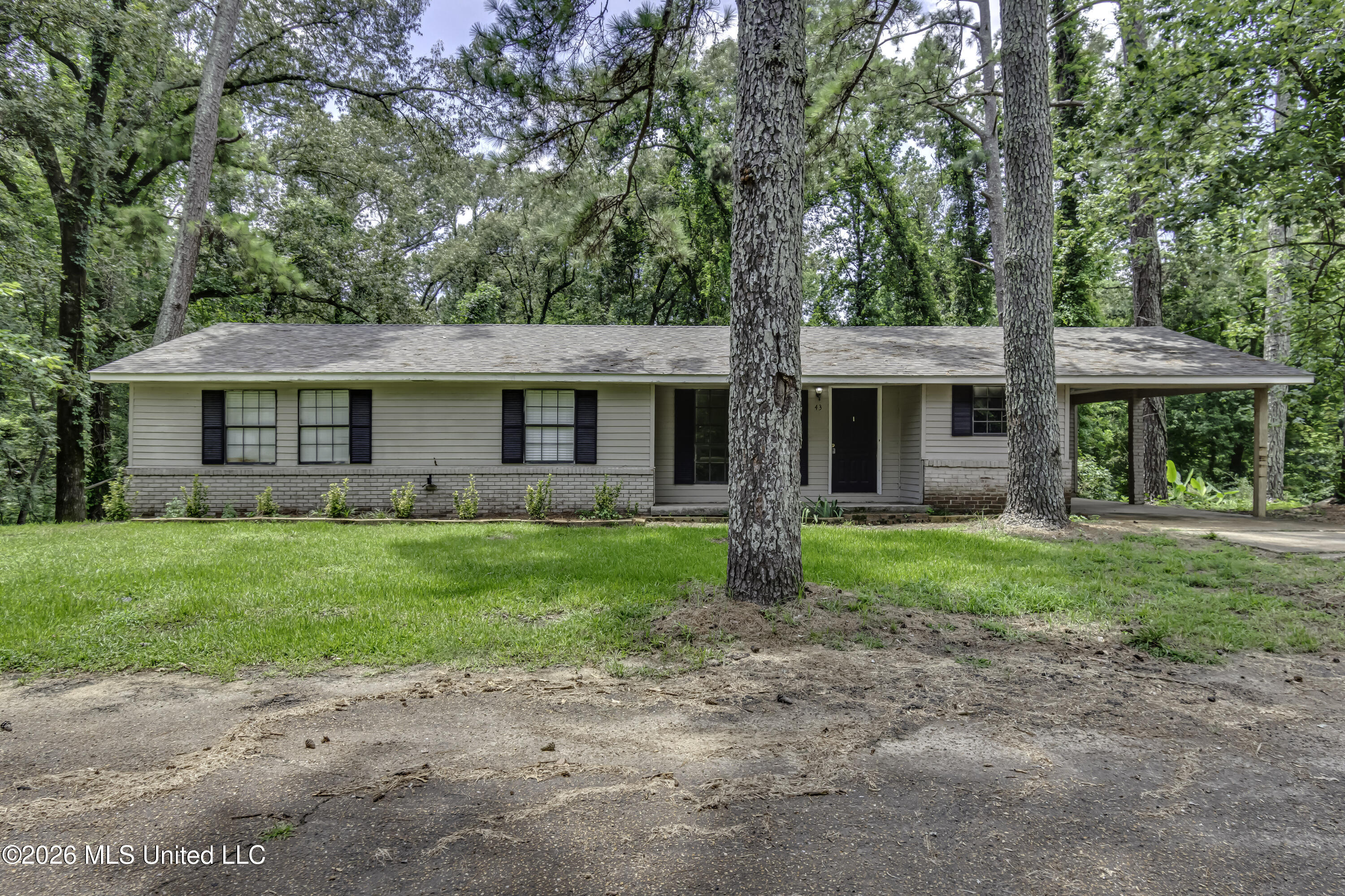43 Rich Lane Property Photo 1