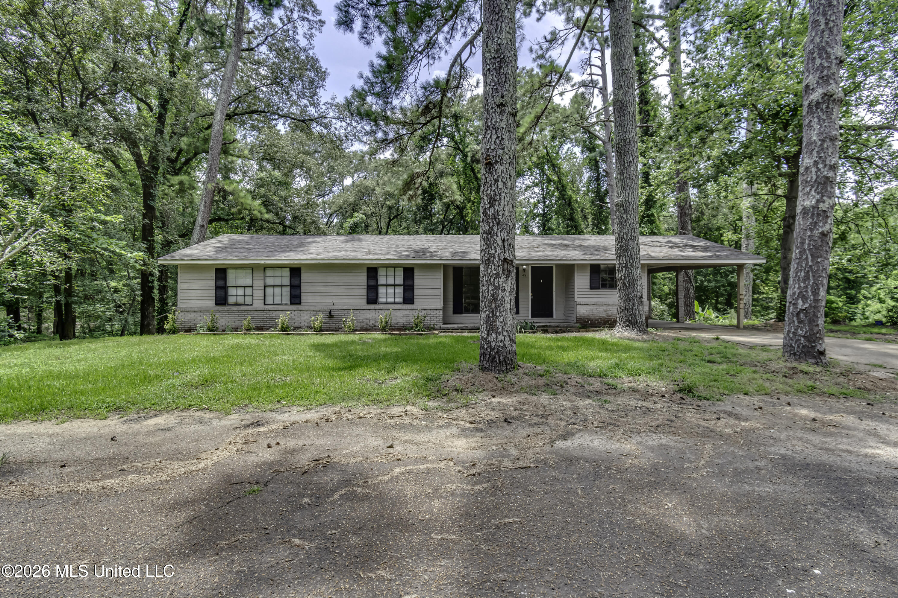 43 Rich Lane Property Photo 2