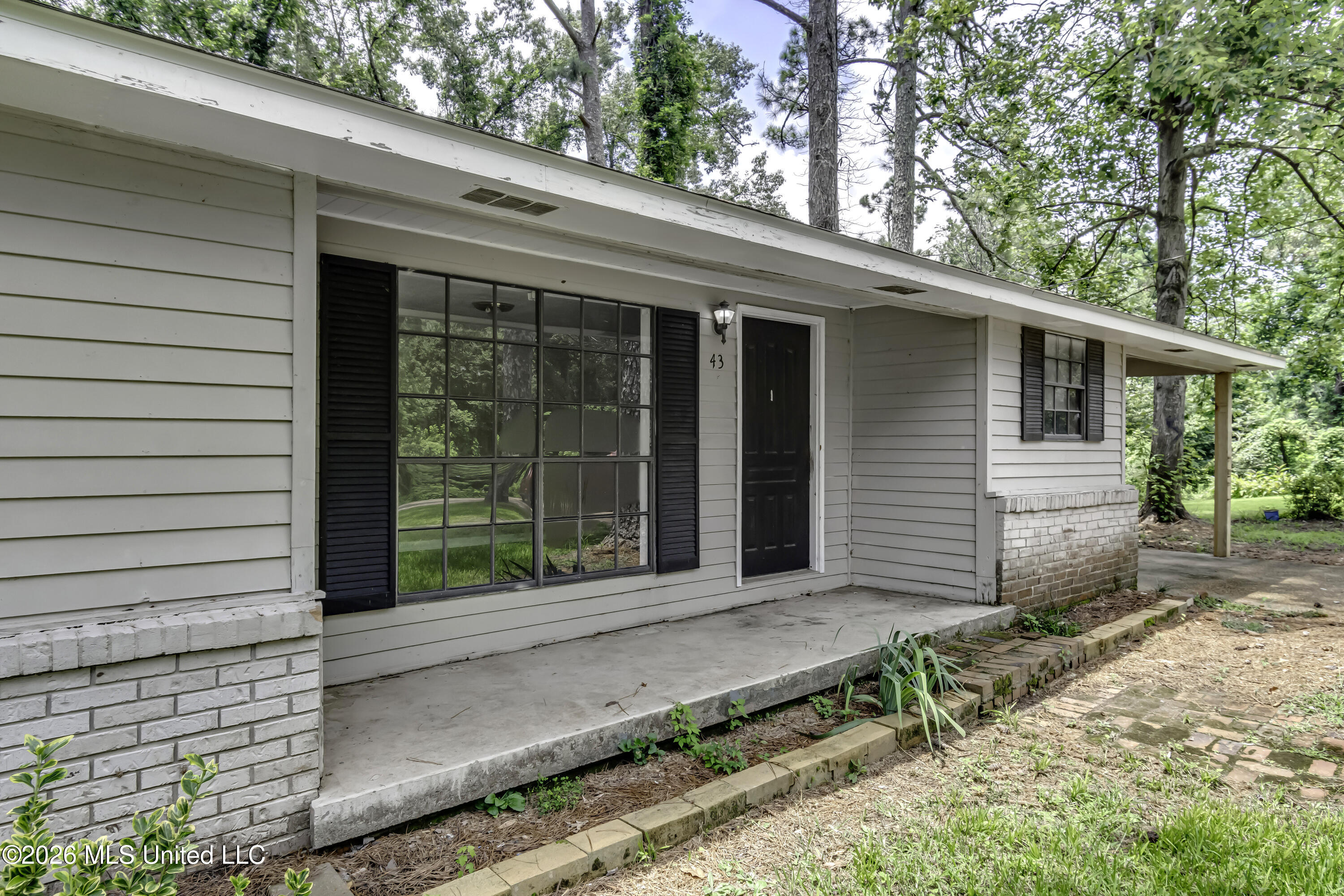 43 Rich Lane Property Photo 6