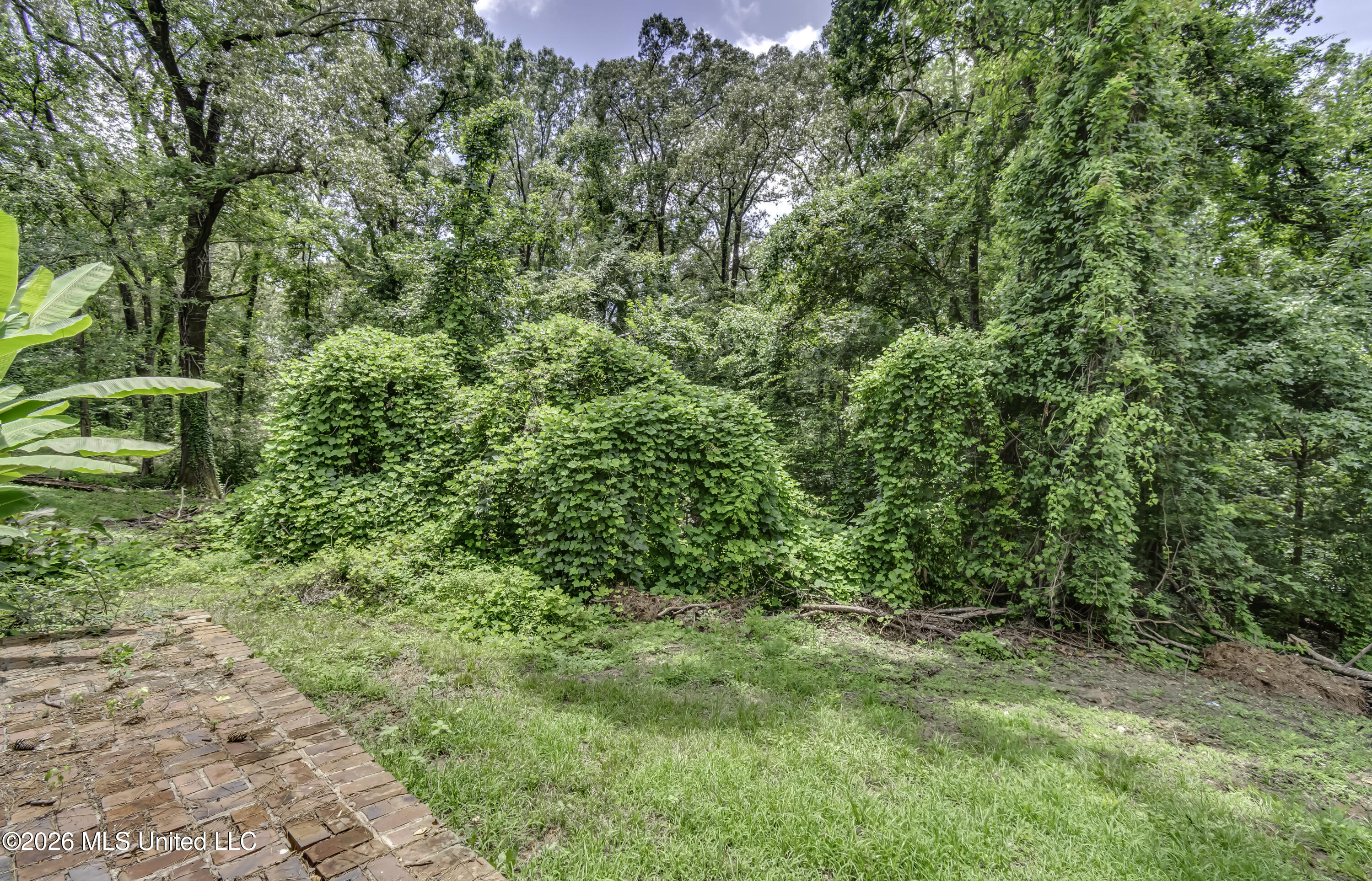 43 Rich Lane Property Photo 58