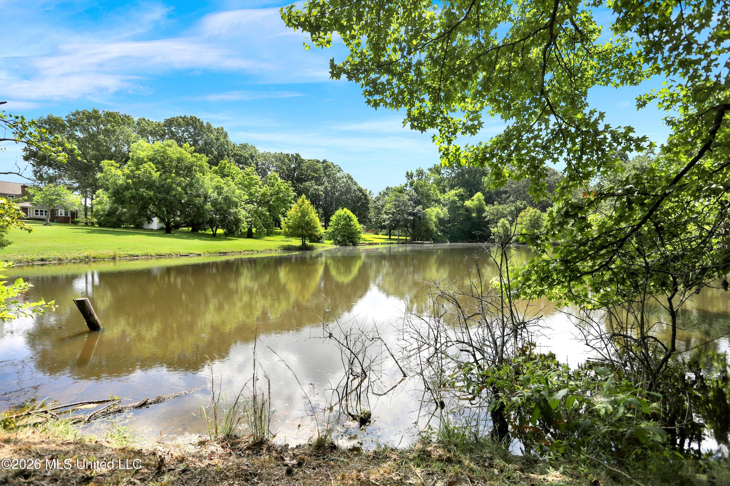 7925 Hunters Creek Drive Property Photo 43