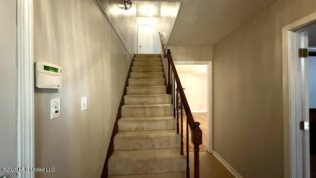 3924 Riverpine Drive Property Photo 4
