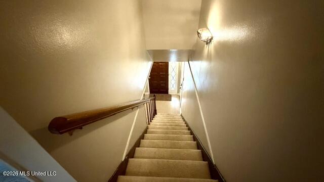 3924 Riverpine Drive Property Photo 50