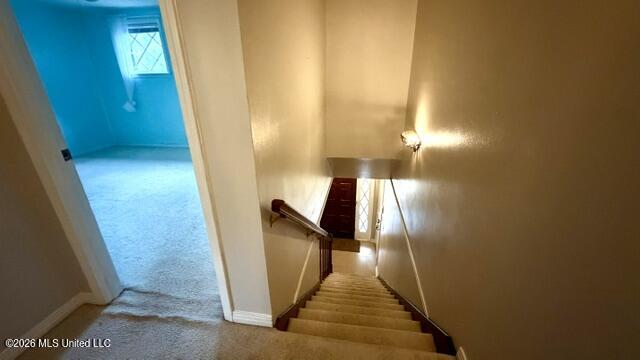 3924 Riverpine Drive Property Photo 51