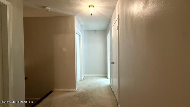 3924 Riverpine Drive Property Photo 56