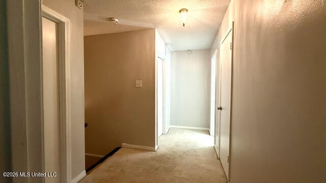 3924 Riverpine Drive Property Photo 57