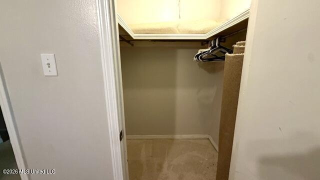 3924 Riverpine Drive Property Photo 62
