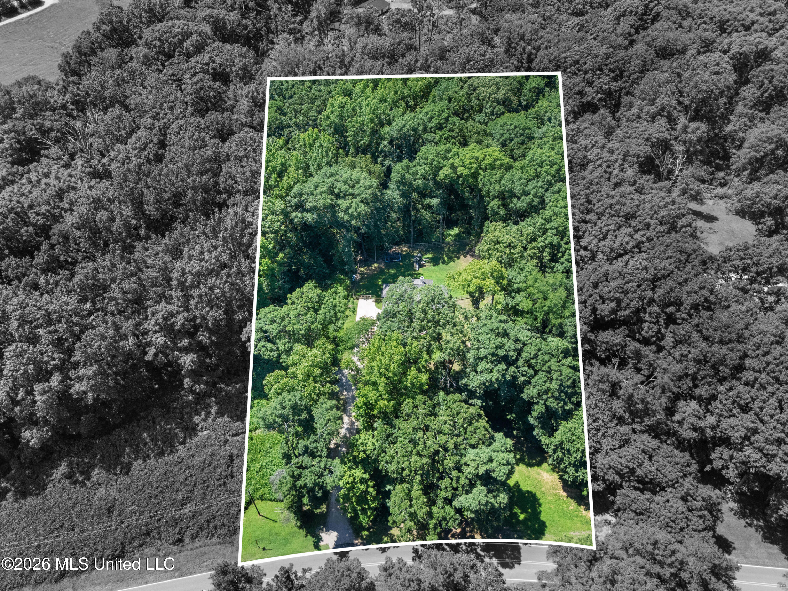 14929 Strickland Road Property Photo 39