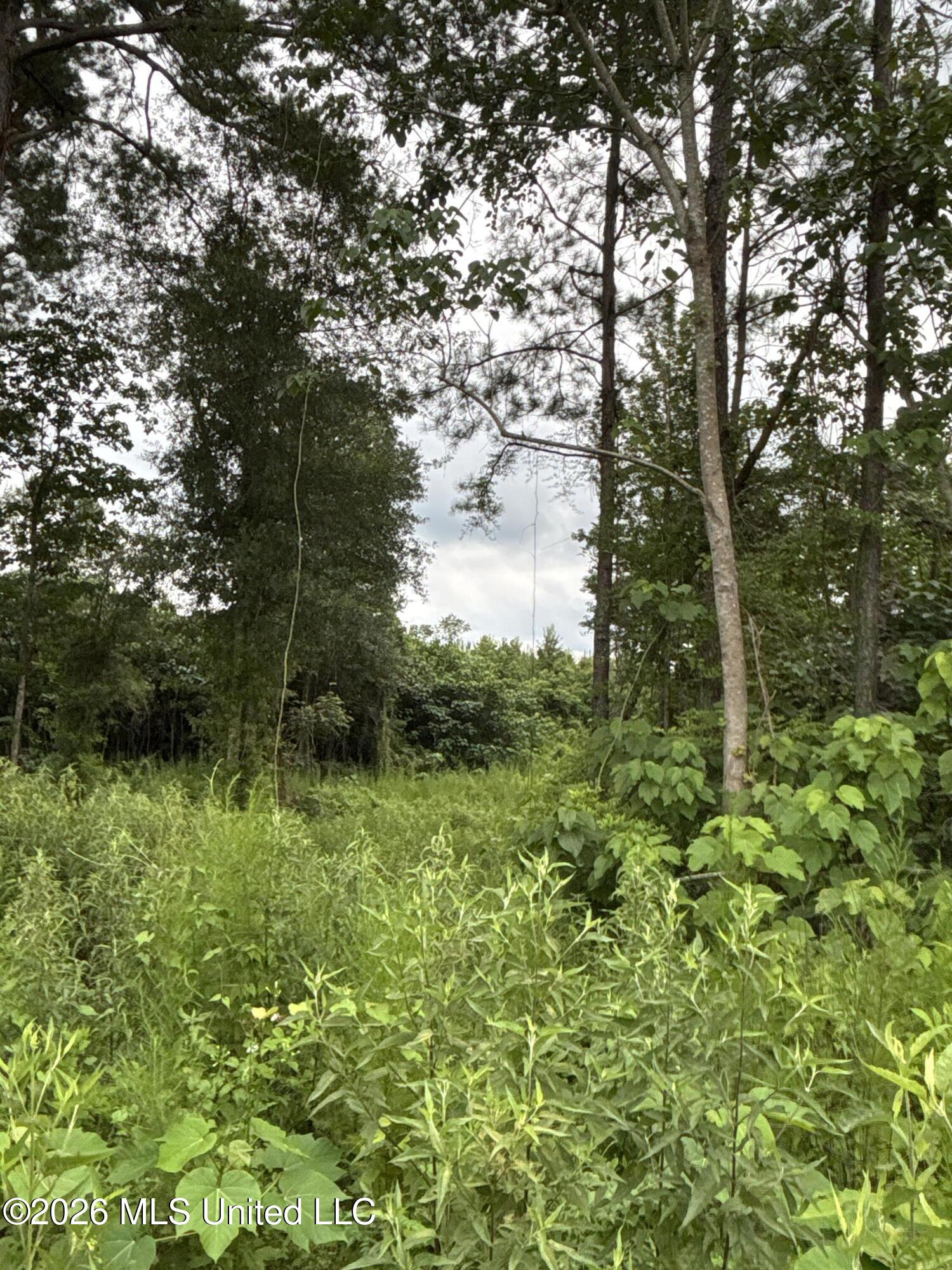 Kirklin Road Property Photo 10