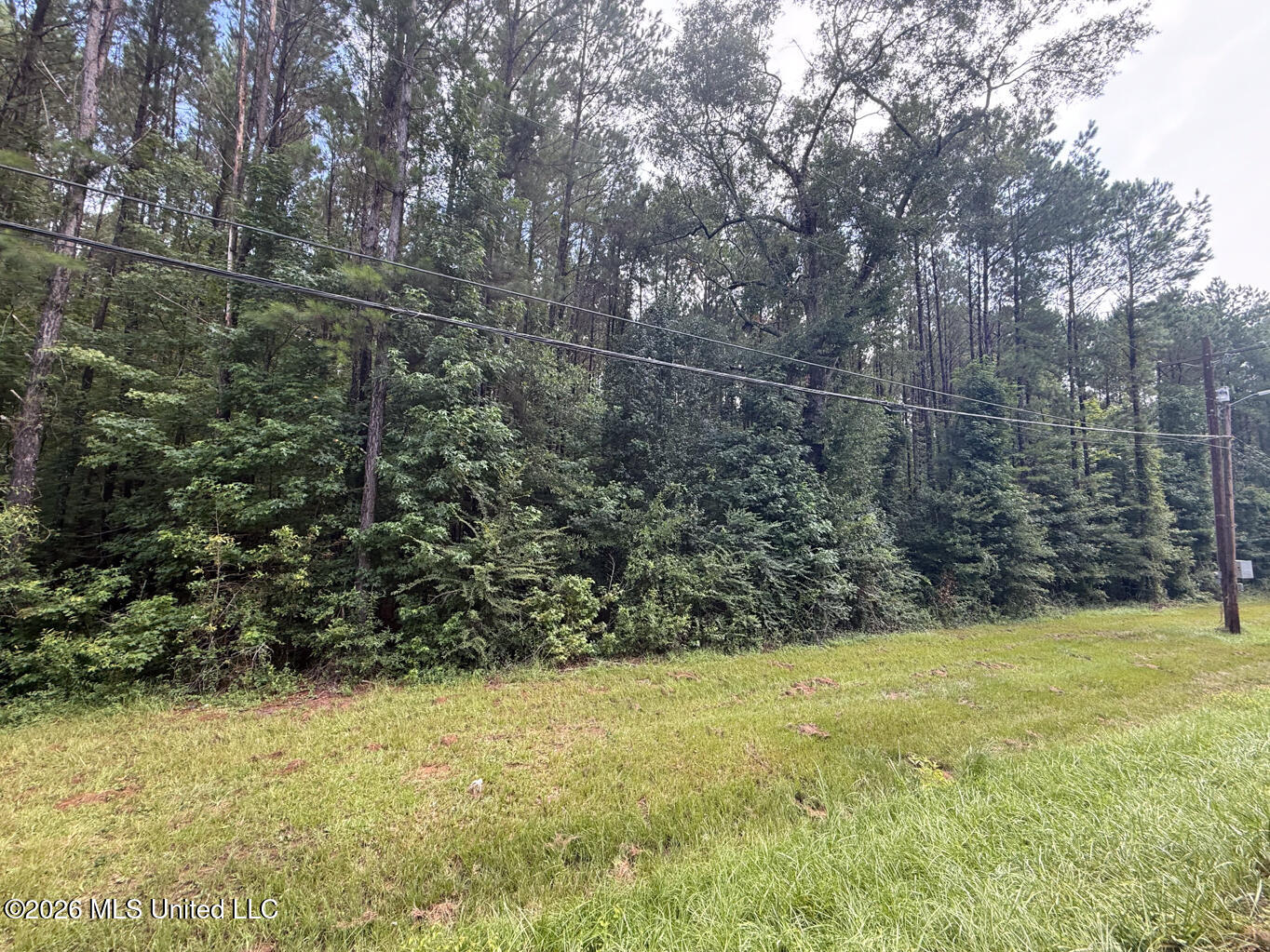 253 Red Dog Road Property Photo 1
