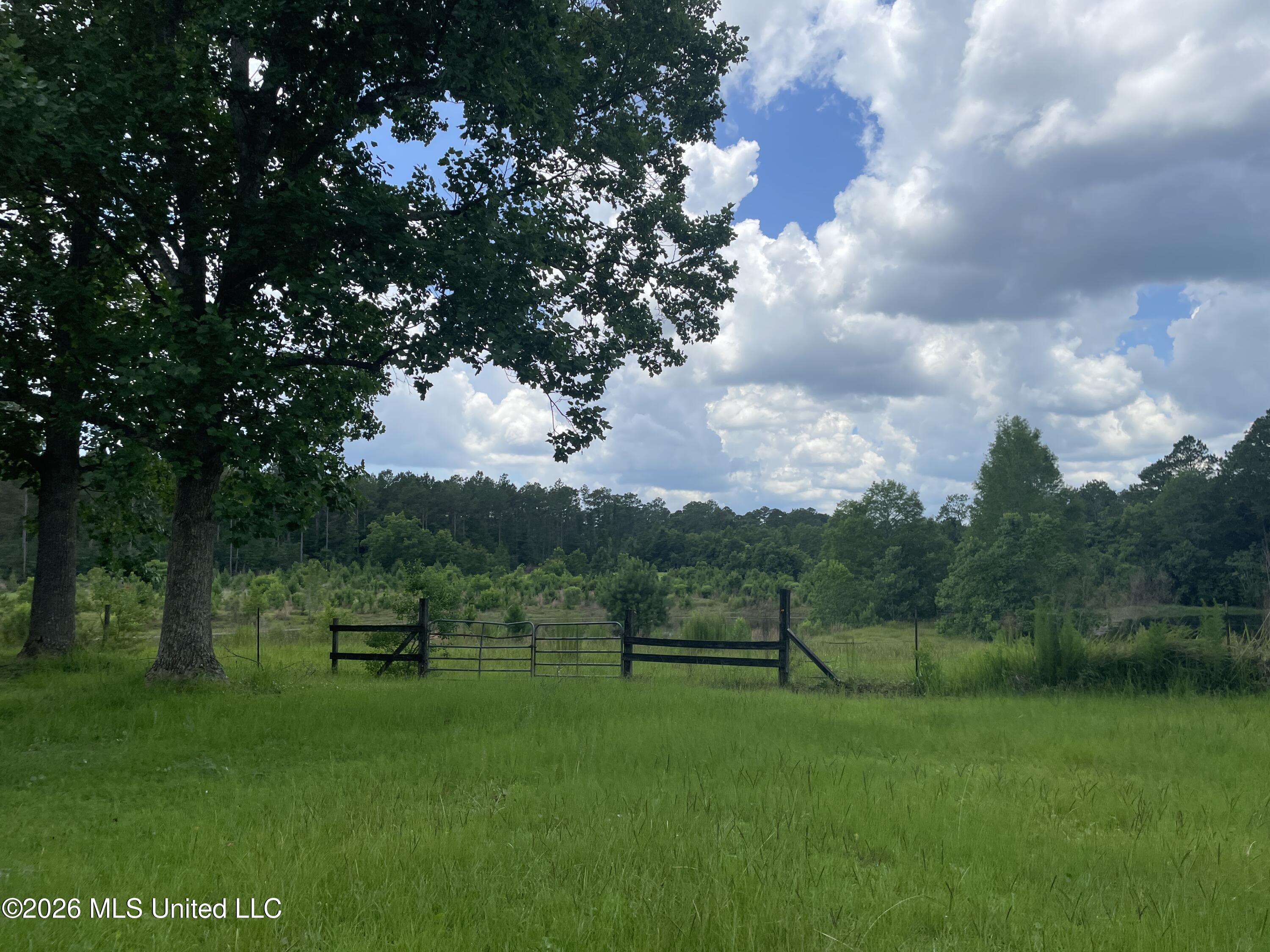 12320 Lily Orchard Road Property Photo 12