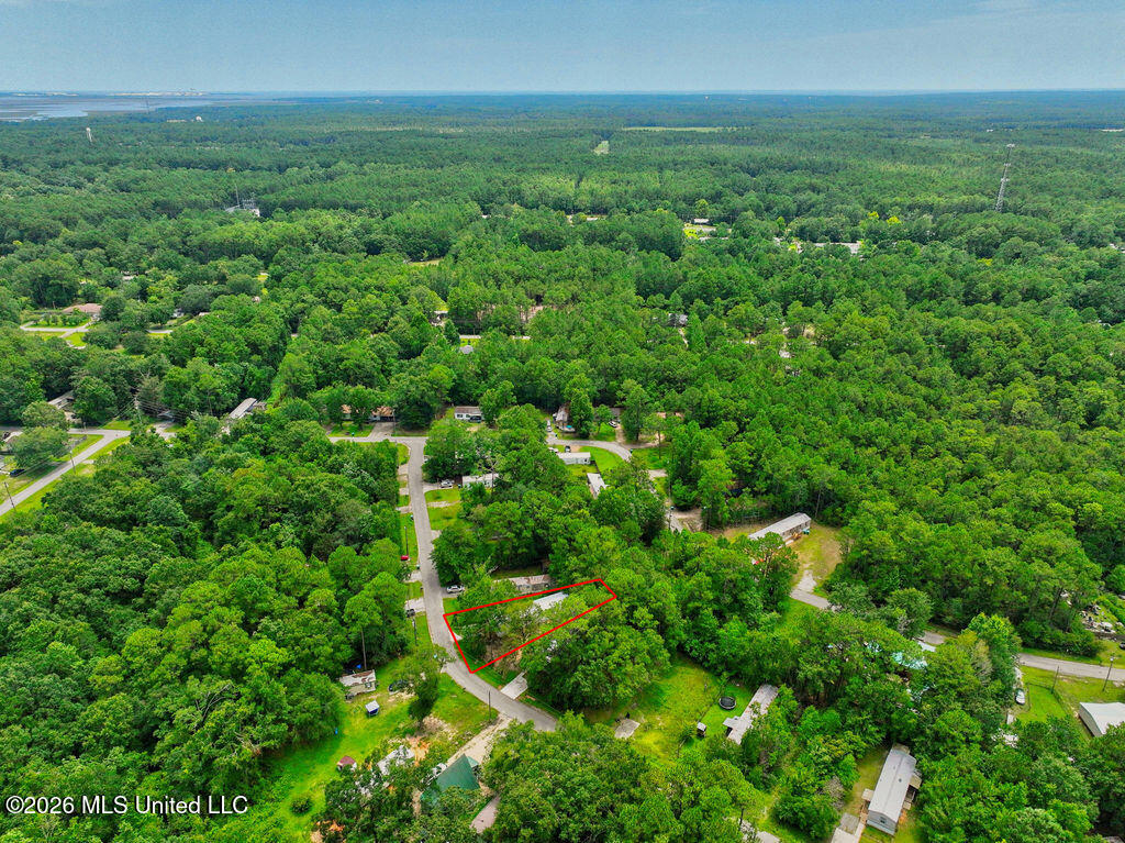 7729 Narcissus Drive Property Photo 30