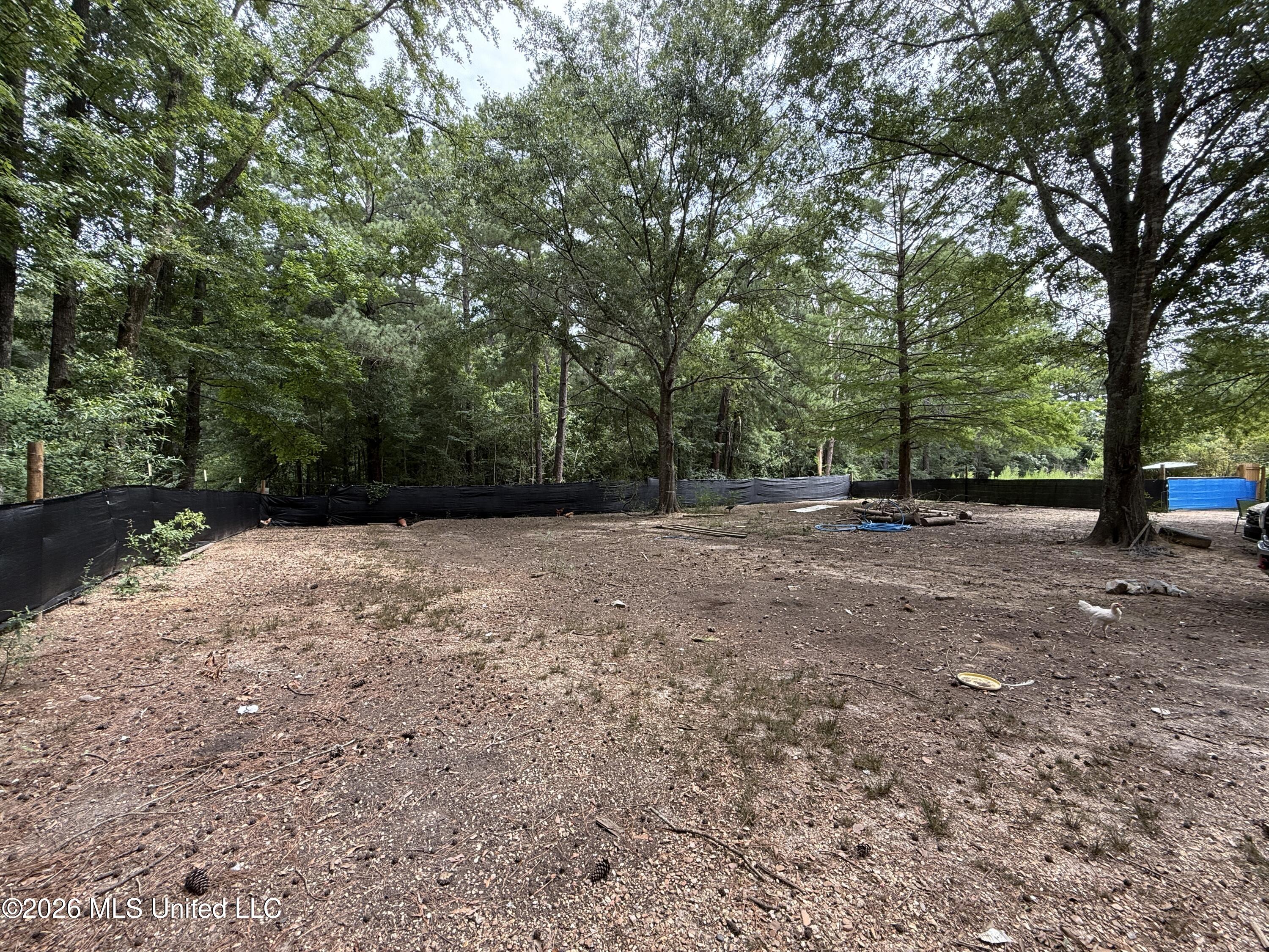 488 Dykes Road Property Photo 7