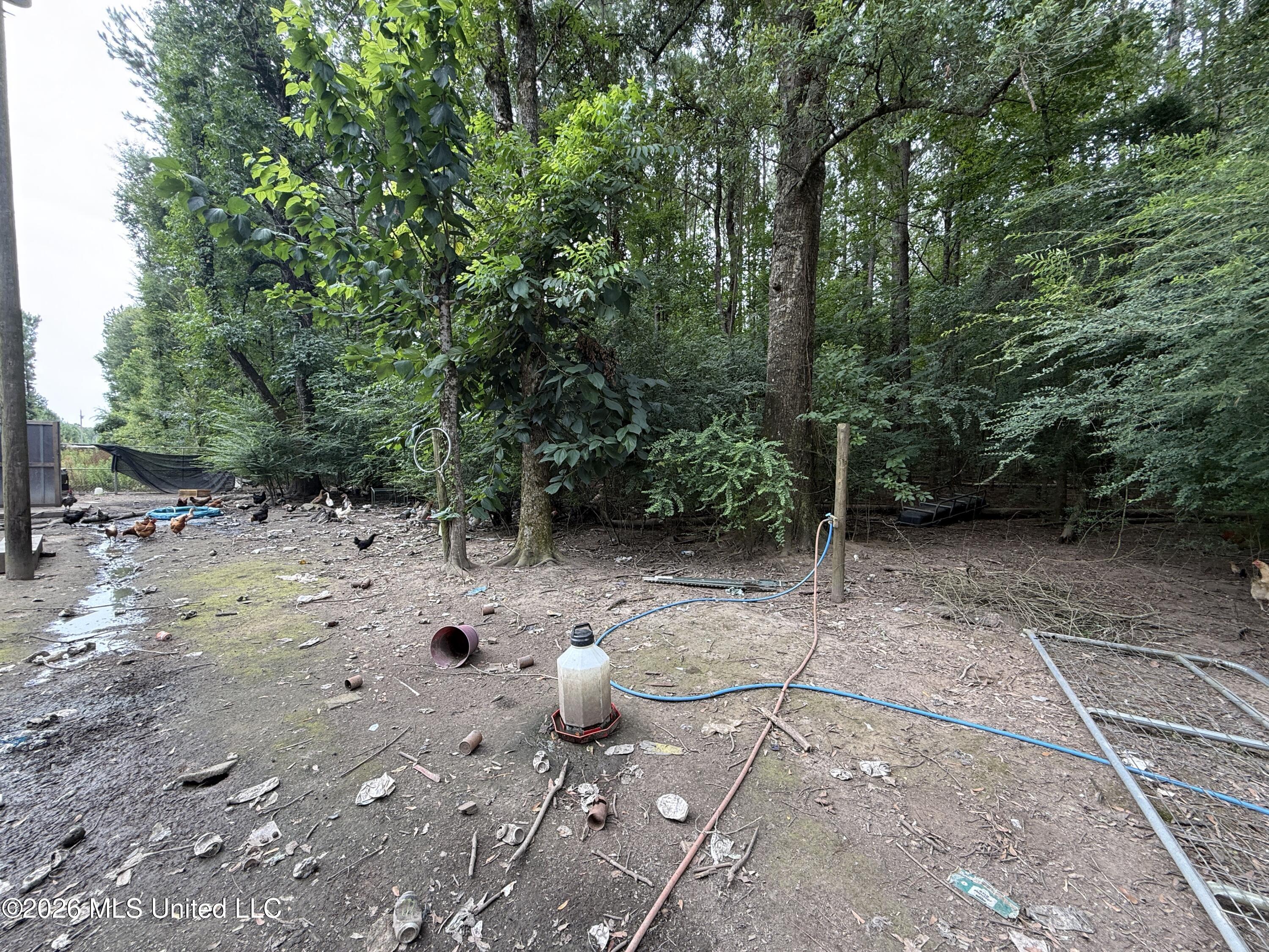 488 Dykes Road Property Photo 23