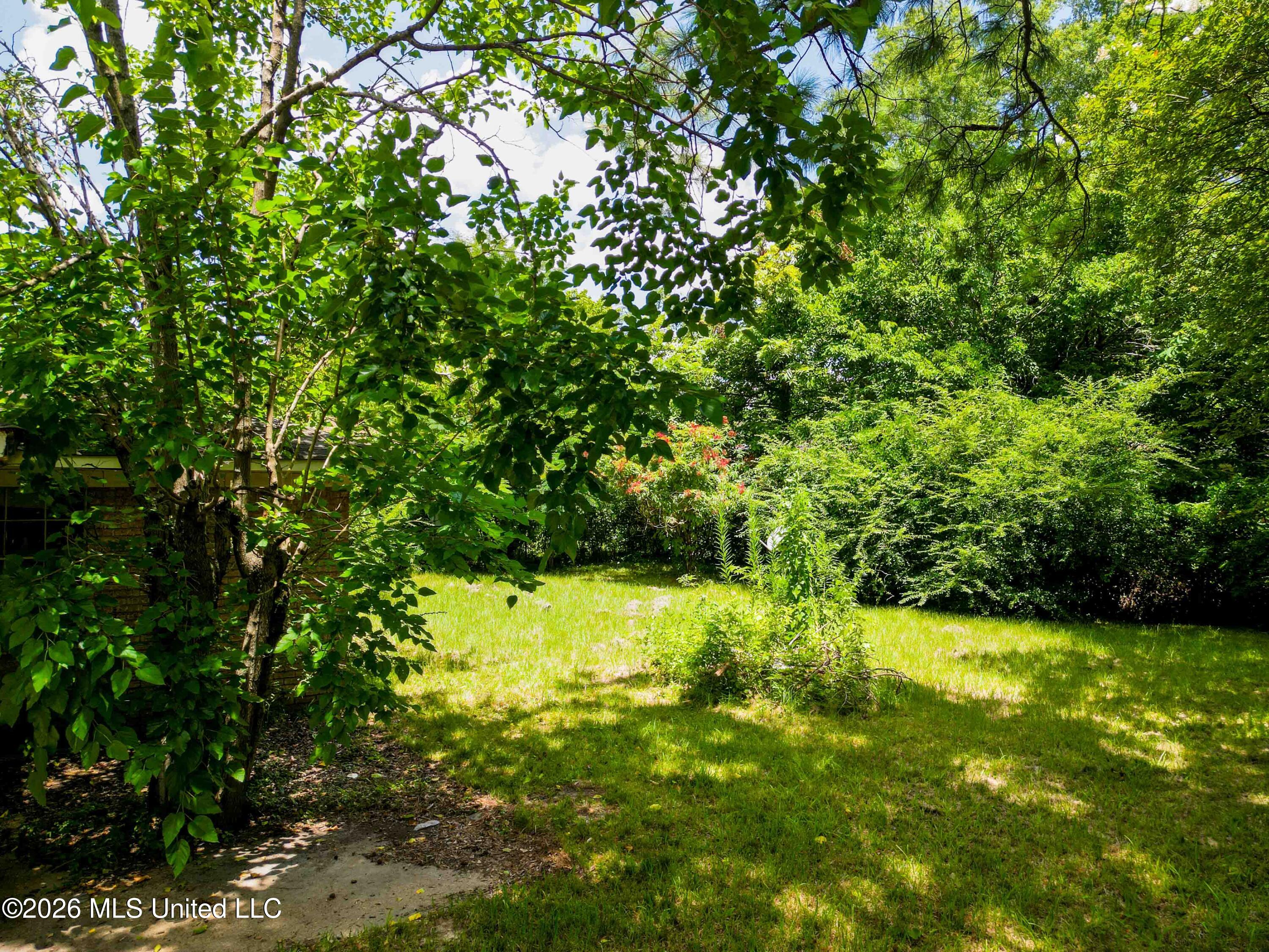 5202 Ginger Drive Property Photo 4