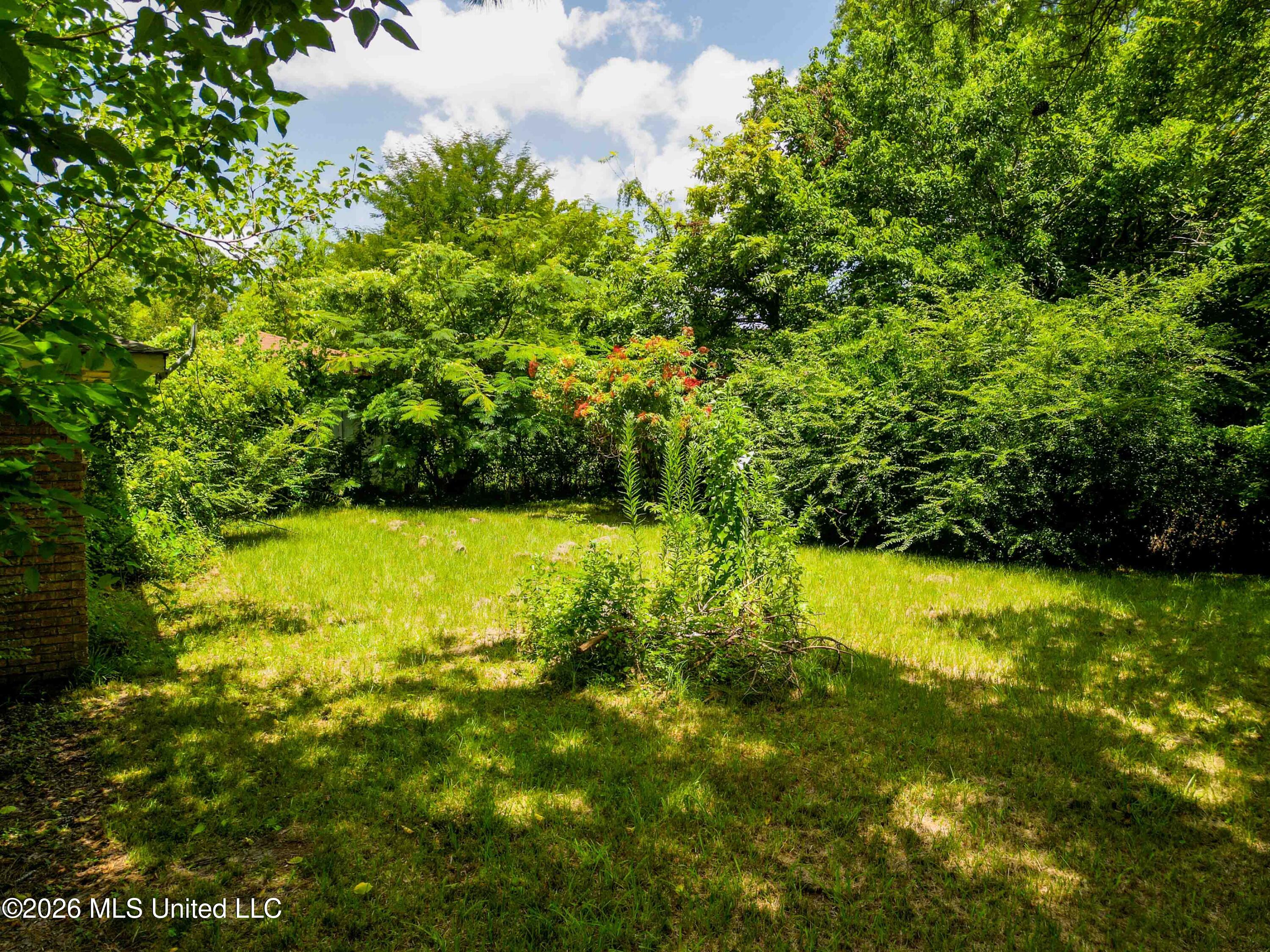 5202 Ginger Drive Property Photo 6