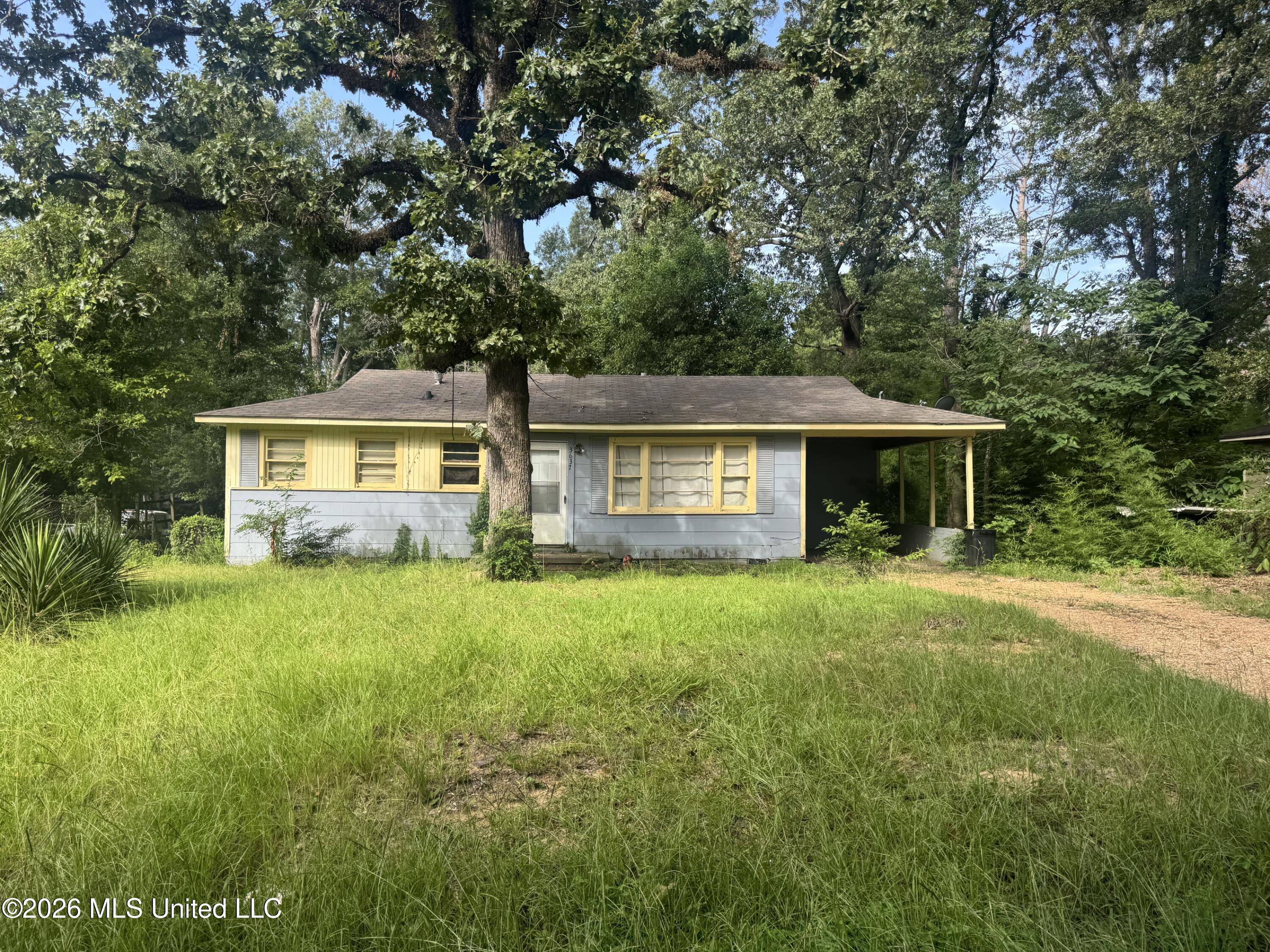 3637 Southland Drive Property Photo 2