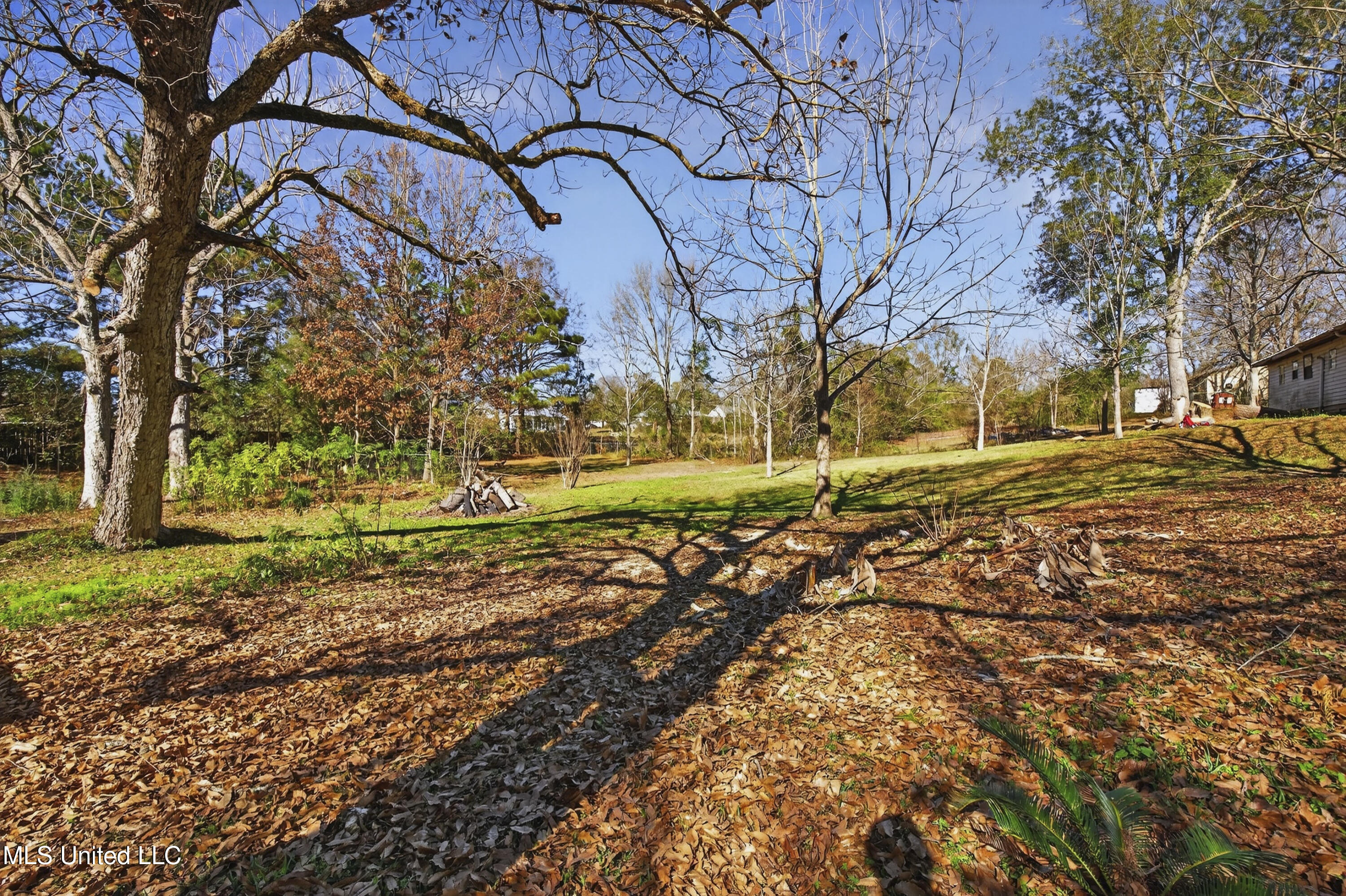 227 Old Highway 49 Property Photo 44