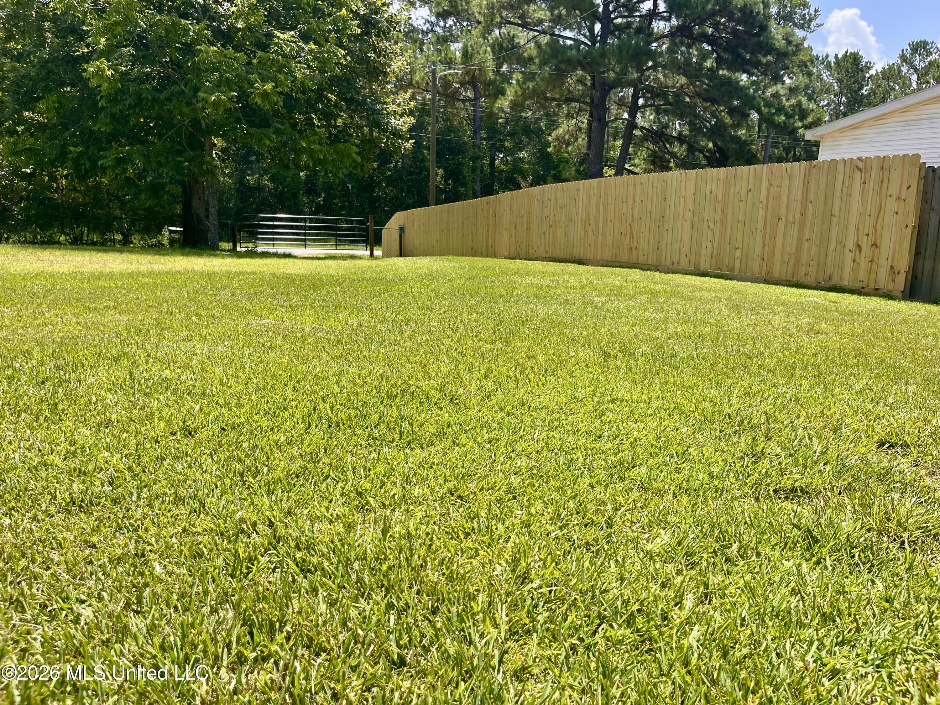 227 Old Highway 49 Property Photo 53