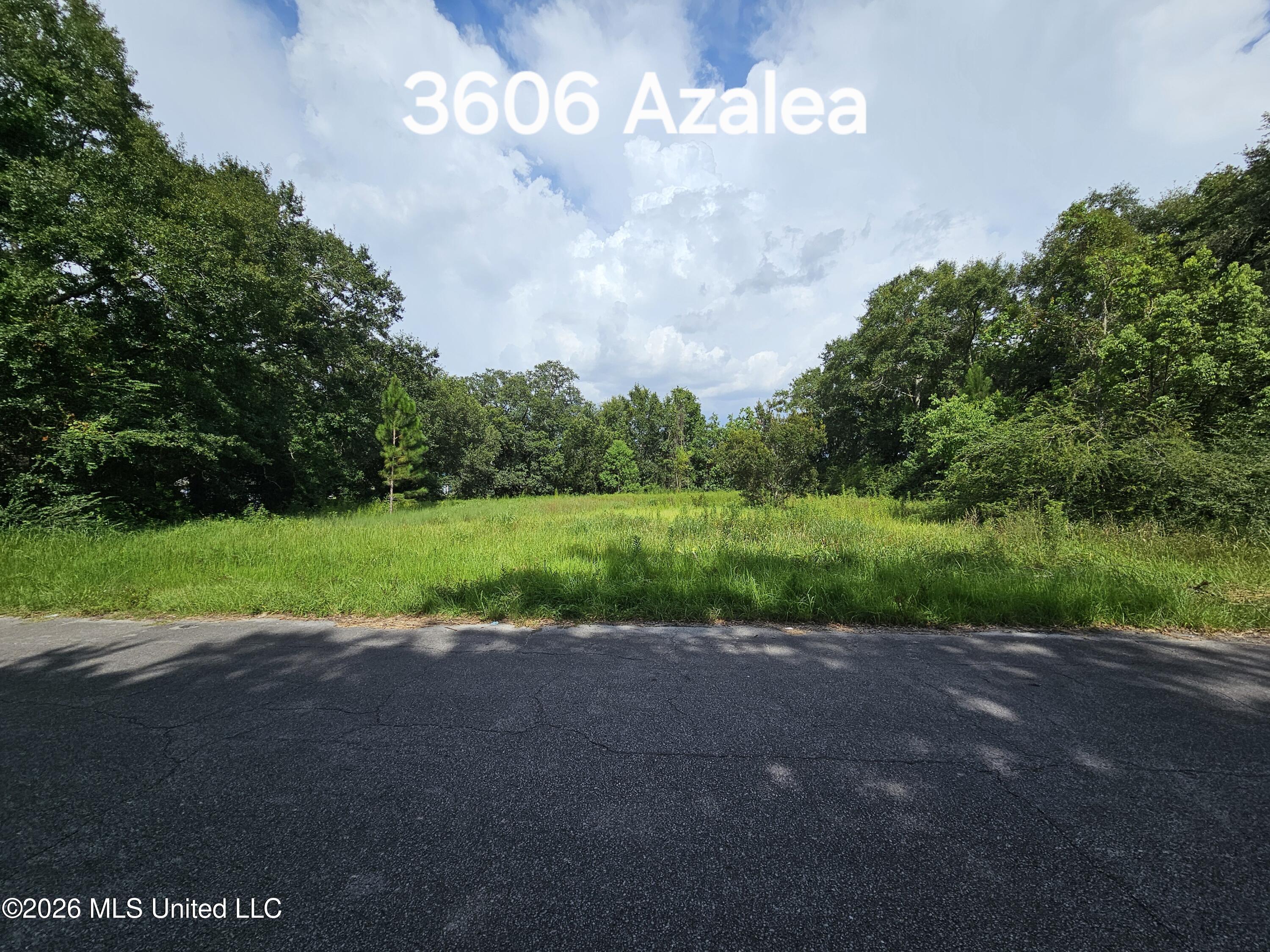 3606 Azalea Street Property Photo 1