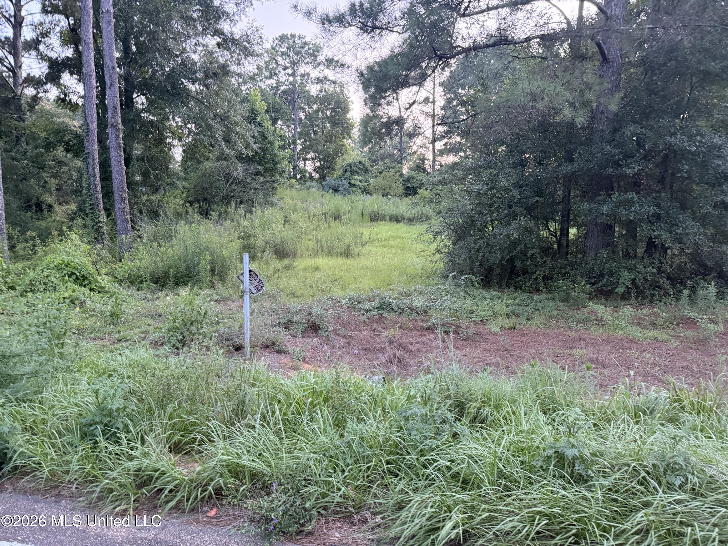 1061 Ms-570 Property Photo 1