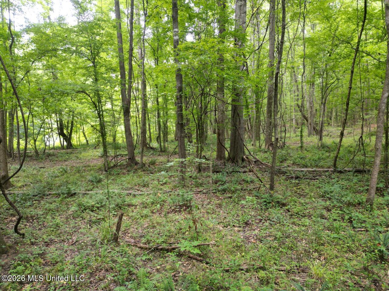23 Pheasant Road Property Photo 6