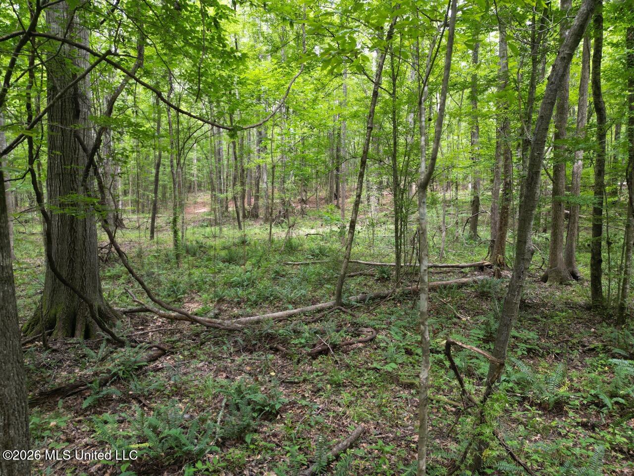 23 Pheasant Road Property Photo 7