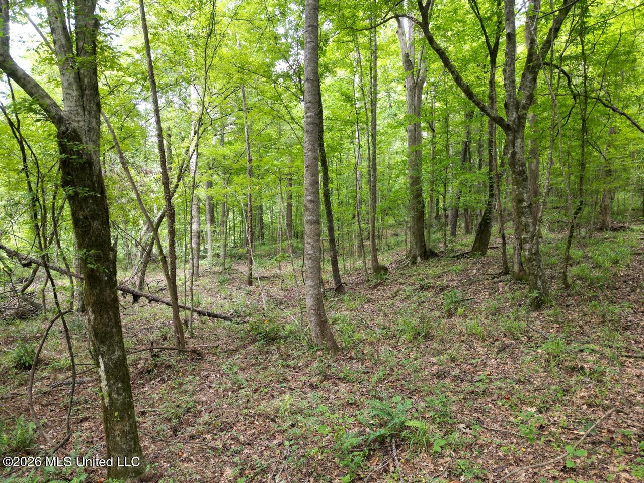 23 Pheasant Road Property Photo 8