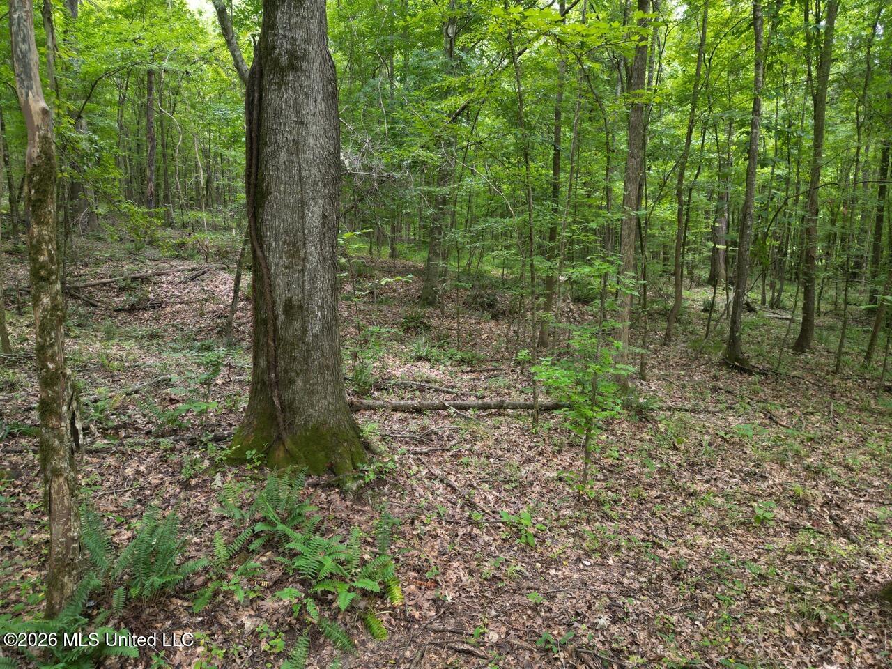 23 Pheasant Road Property Photo 9